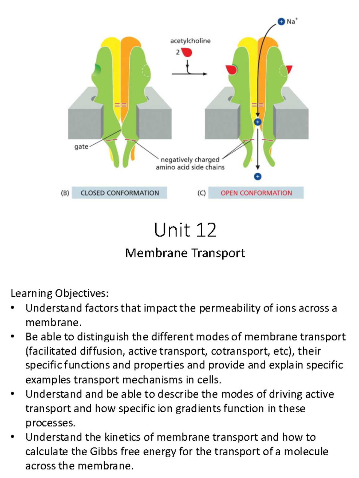 Unit 12: Membrane Transport Mechanisms - Active vs Passive Processes ...