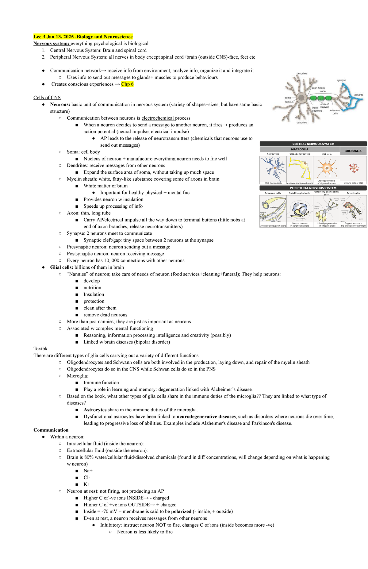 Chapter 3 - psy 1101 notes - Lec 3 Jan 13, 2025 -Biology and ...
