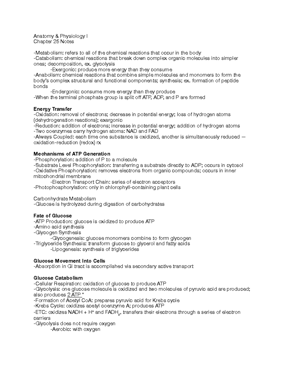 A&P I Chapter 25 Notes PDF - Metabolism & Cellular Respiration Insights ...