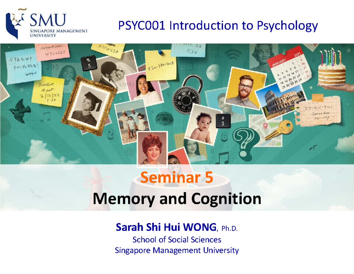 PSYC001 Seminar 5: Memory and Cognition Overview - Studocu