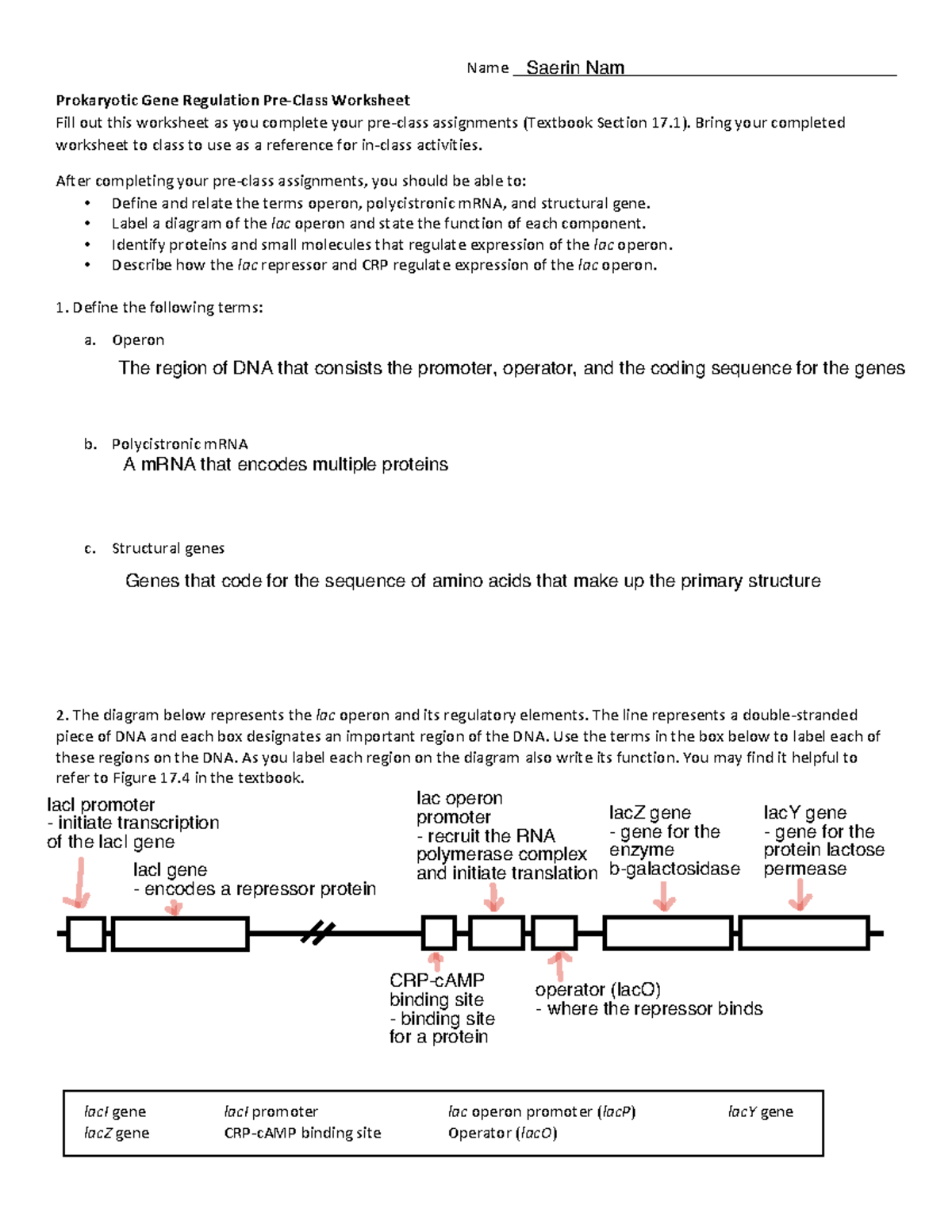 Week 7b Pre-Class Reading Guide - Prokaryotic Gene Regulation - Name ...