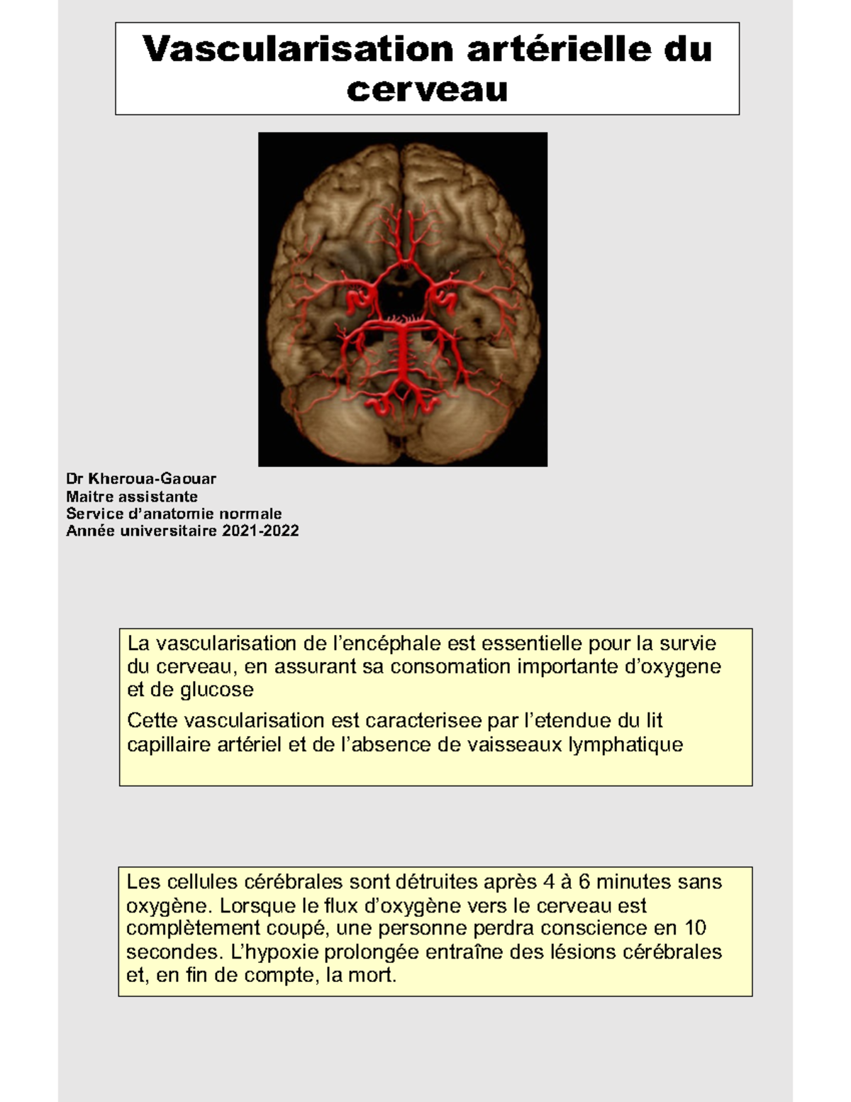 健康・医学 ATLAS DE LA VASCULARISATION ARTERIELLE Vascularisation Artérielle du Cerveau : Anatomie et Fonctionnement