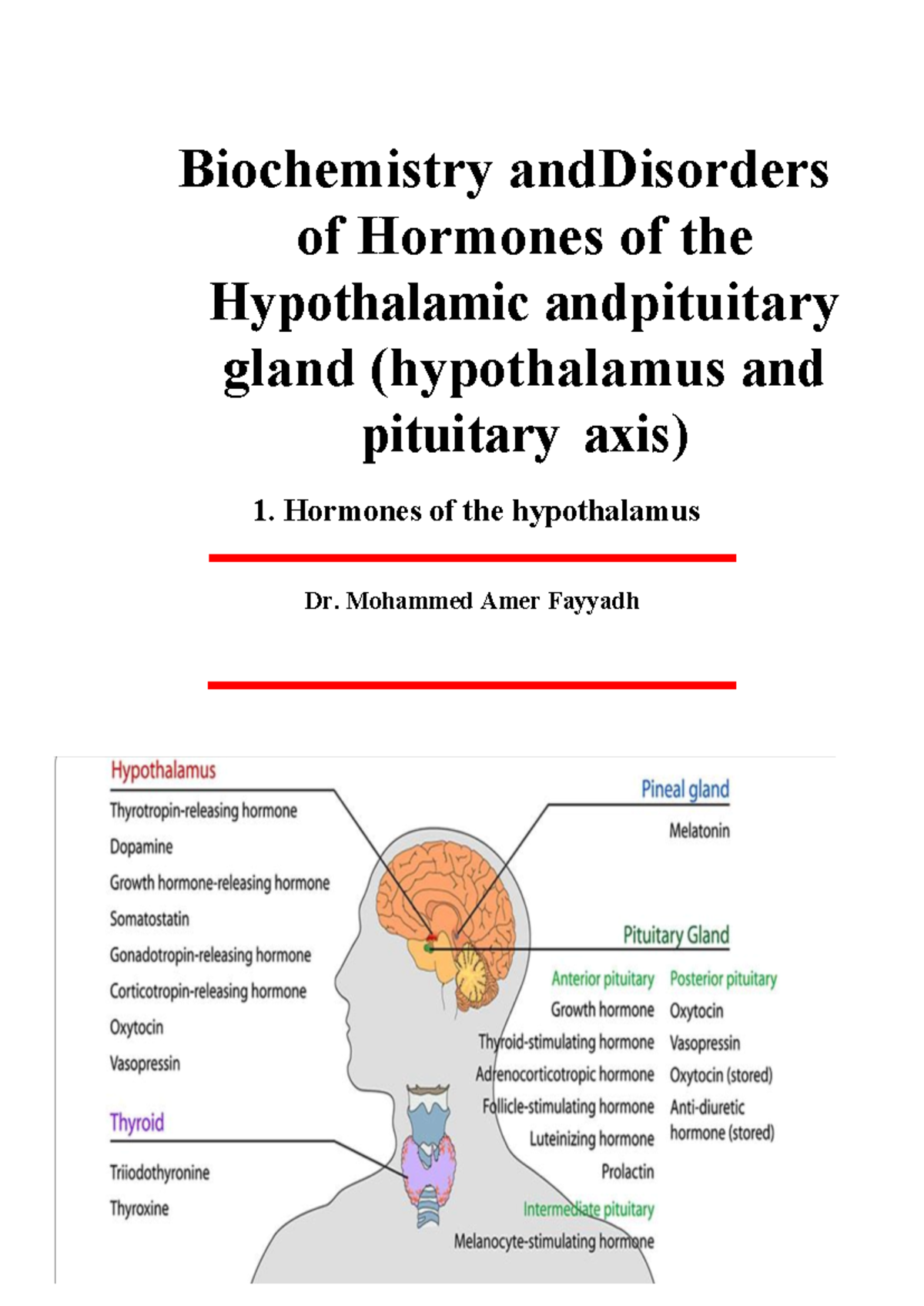 Biochemistry and Disorders of Hormones of the Hypothalamic and ...