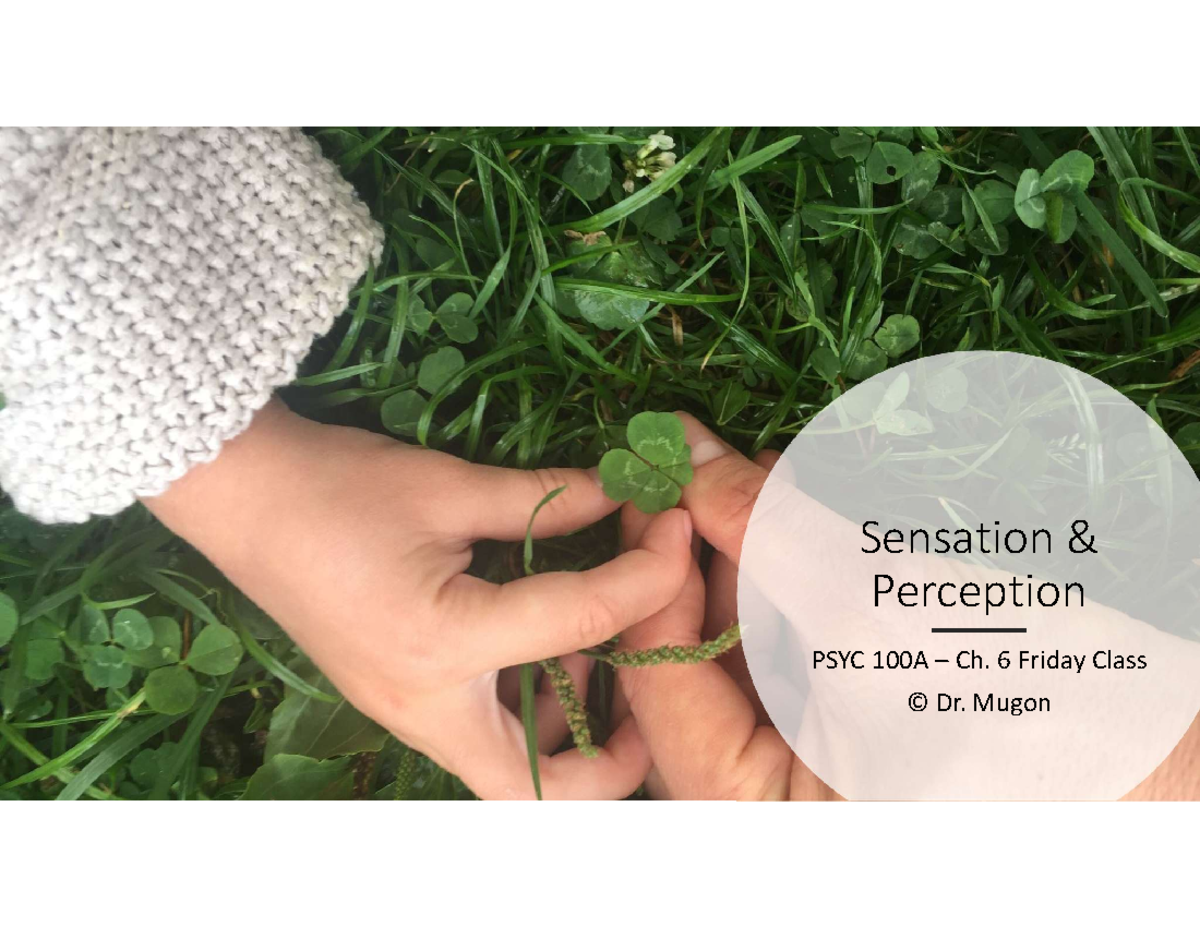 PSYC 100A - Sensation & Perception: Ch. 6 Class Notes - Studocu