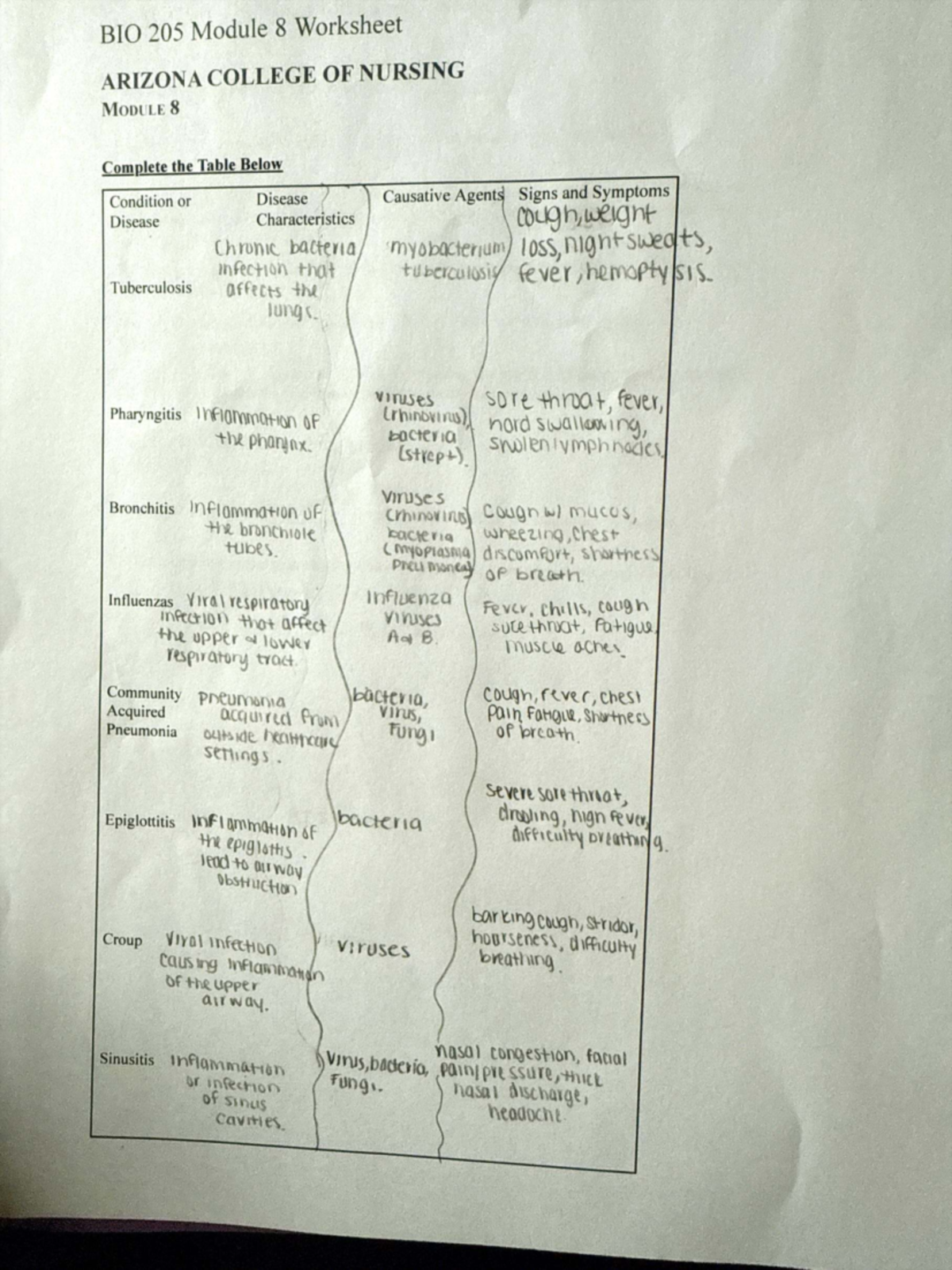 BIO 205 Module 8 Worksheet: Causative Agents & Symptoms Analysis - Studocu