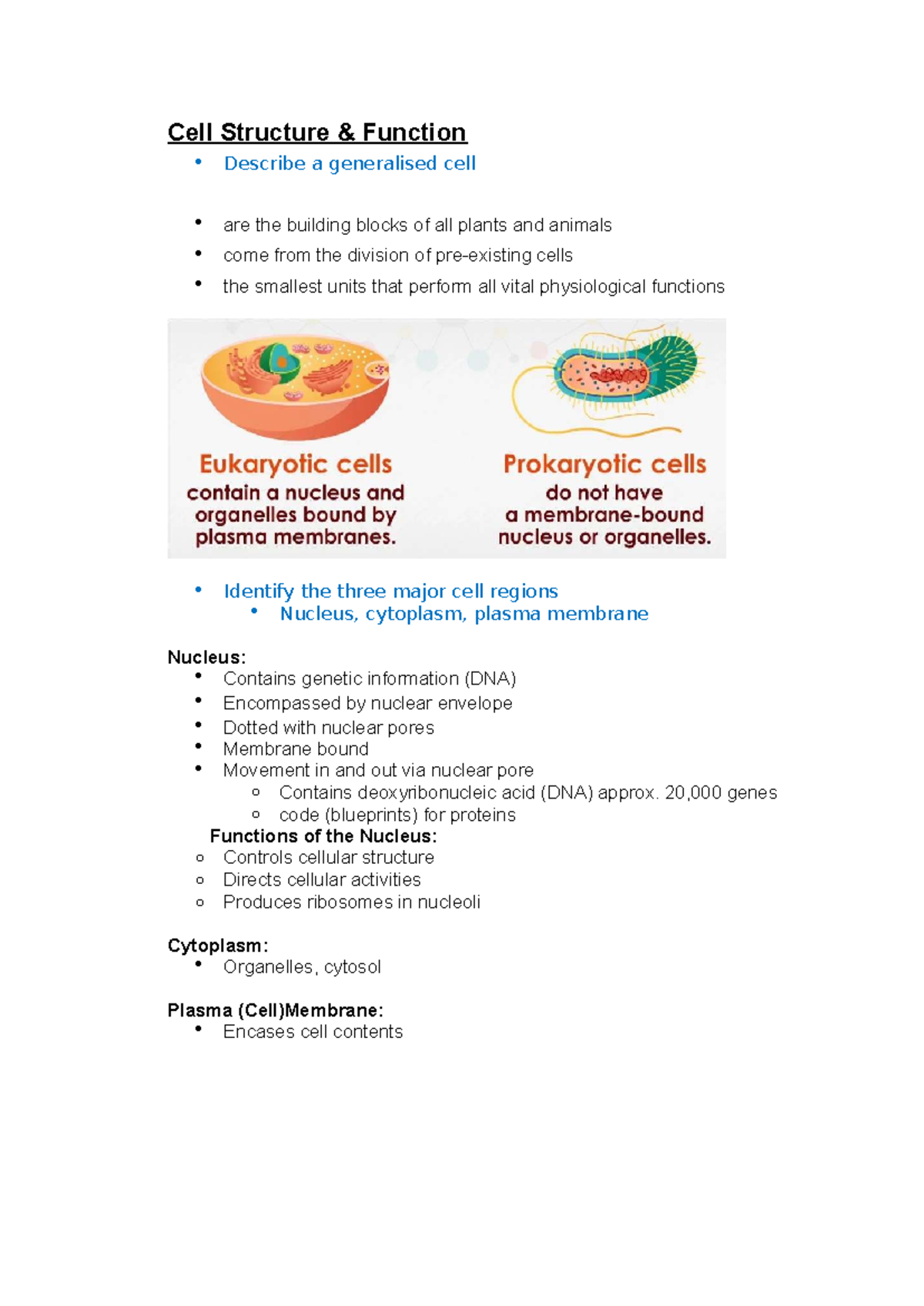 Cell Structure & Function: Week 2 Notes for HUBS1401 - Studocu