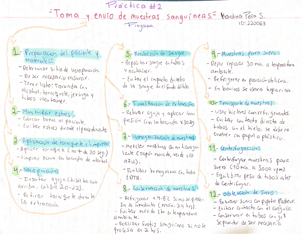 Diagrama P2. Patología Clinica. - Practica Toma Y envio de muestras