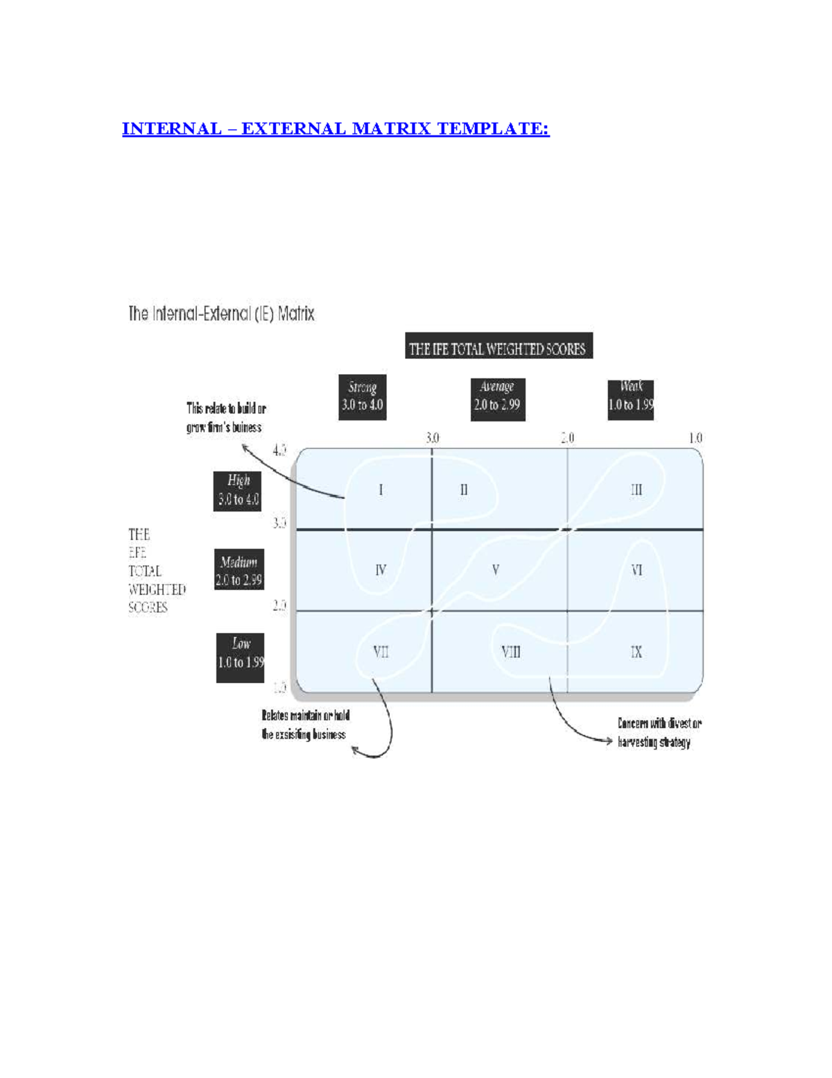 Internal-External Matrix Template: IFE & EFE Weighted Scores - Studocu