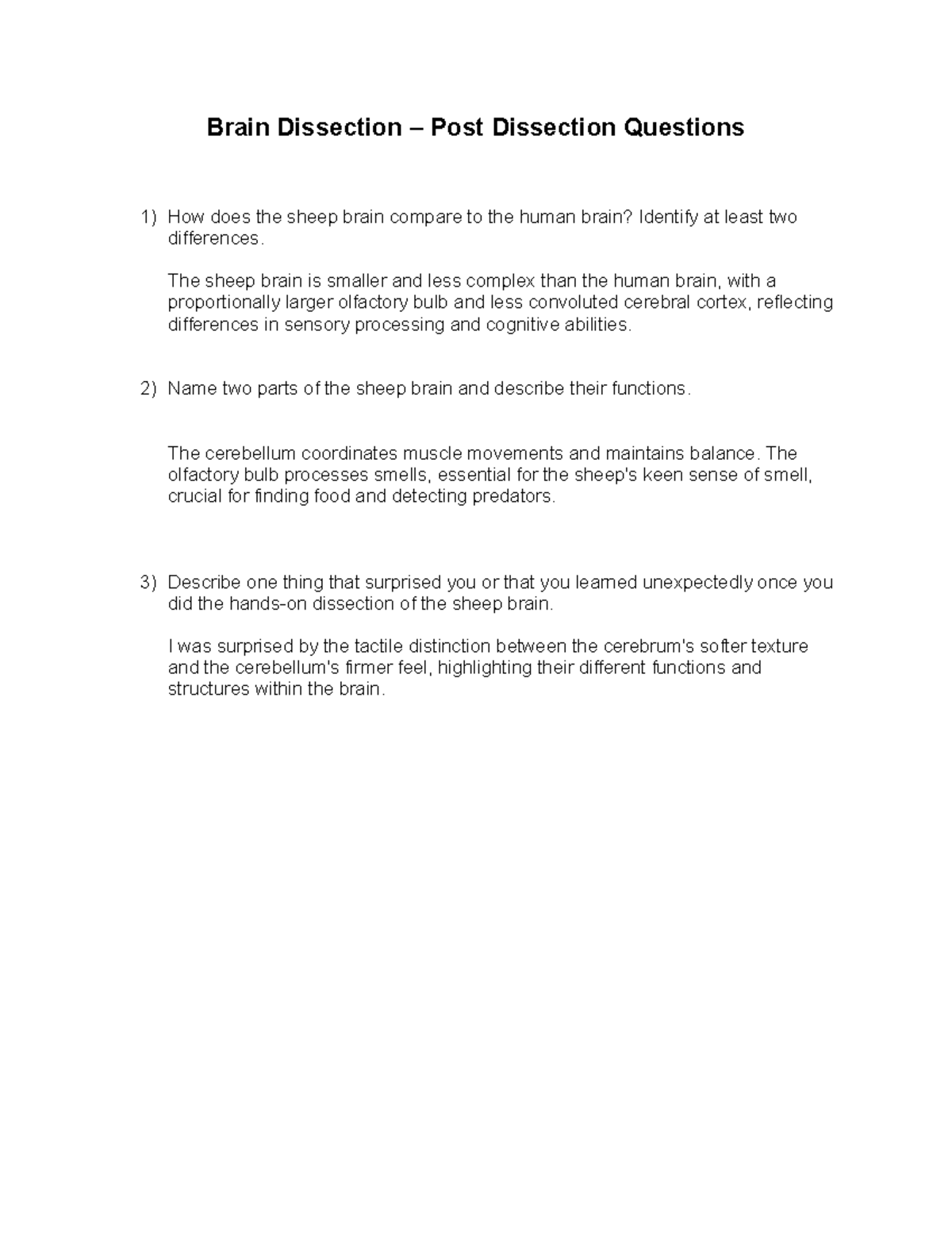 Brain Dissection postlab questions - Brain Dissection – Post Dissection ...