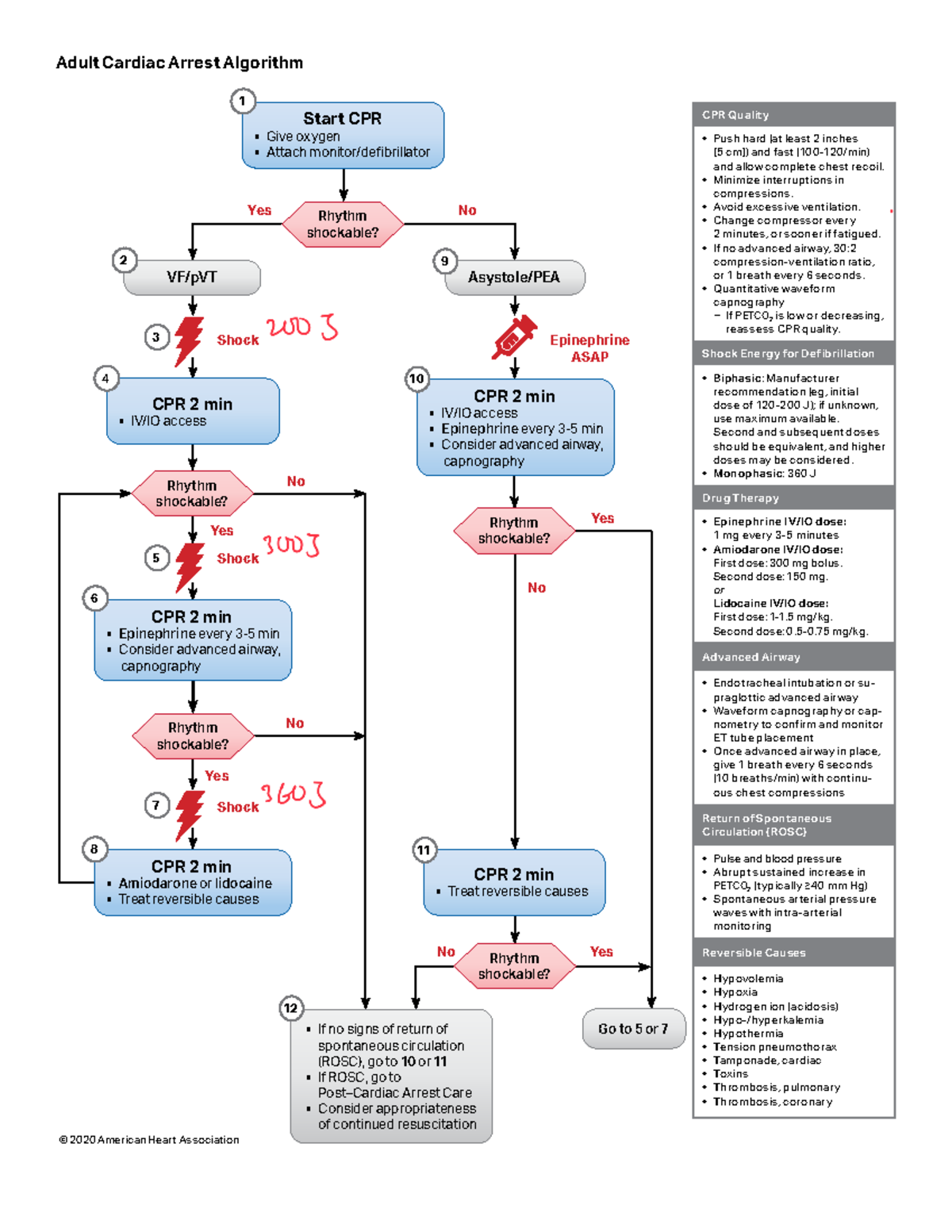 ACLS 2020 ガイドライン ACLS 2020 Adult Cardiac Arrest and Post-Arrest Care Algorithm