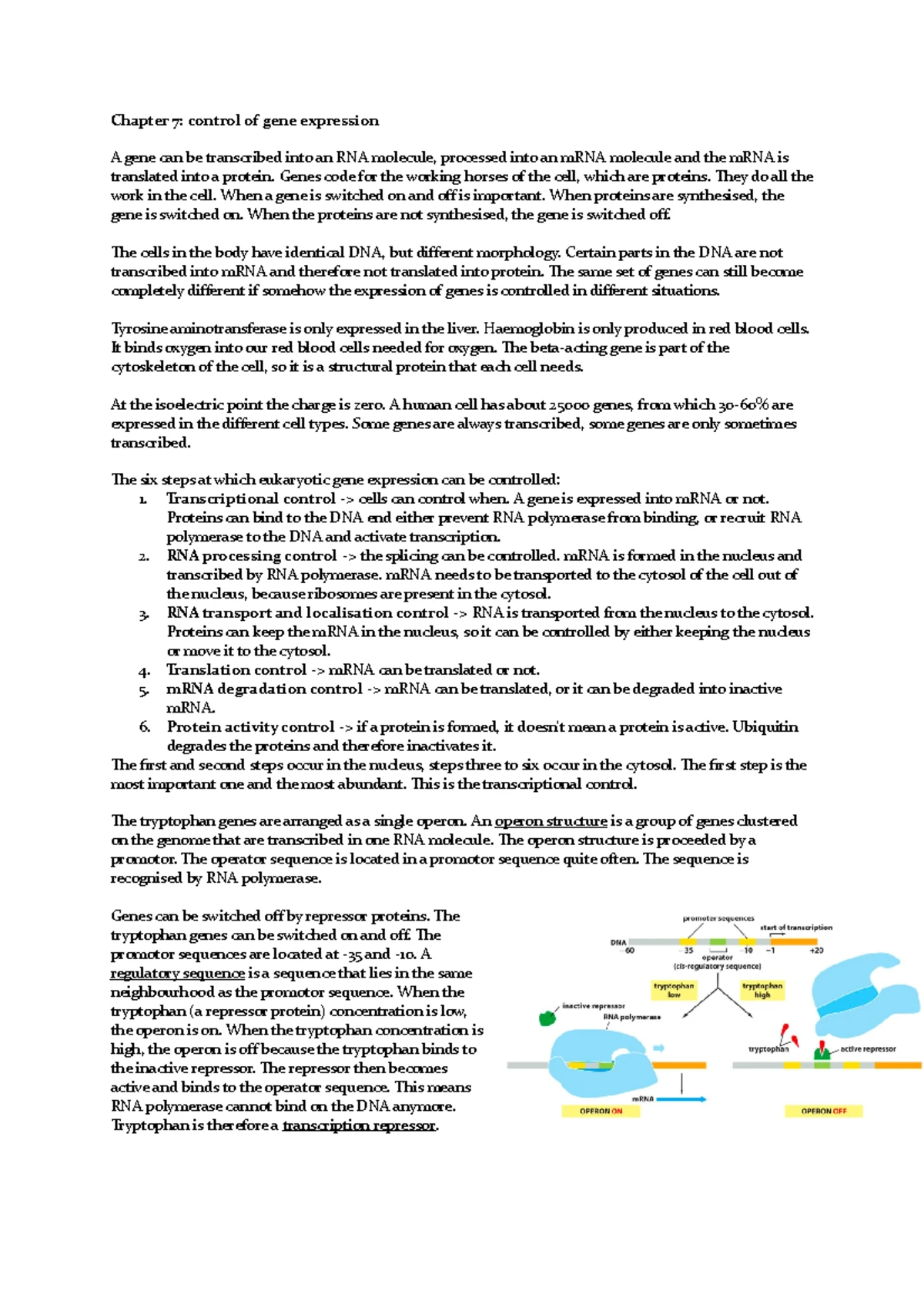 Cell Biology Chapter 18 Notes - Compact Mitotic Chromosome the Mitosis ...