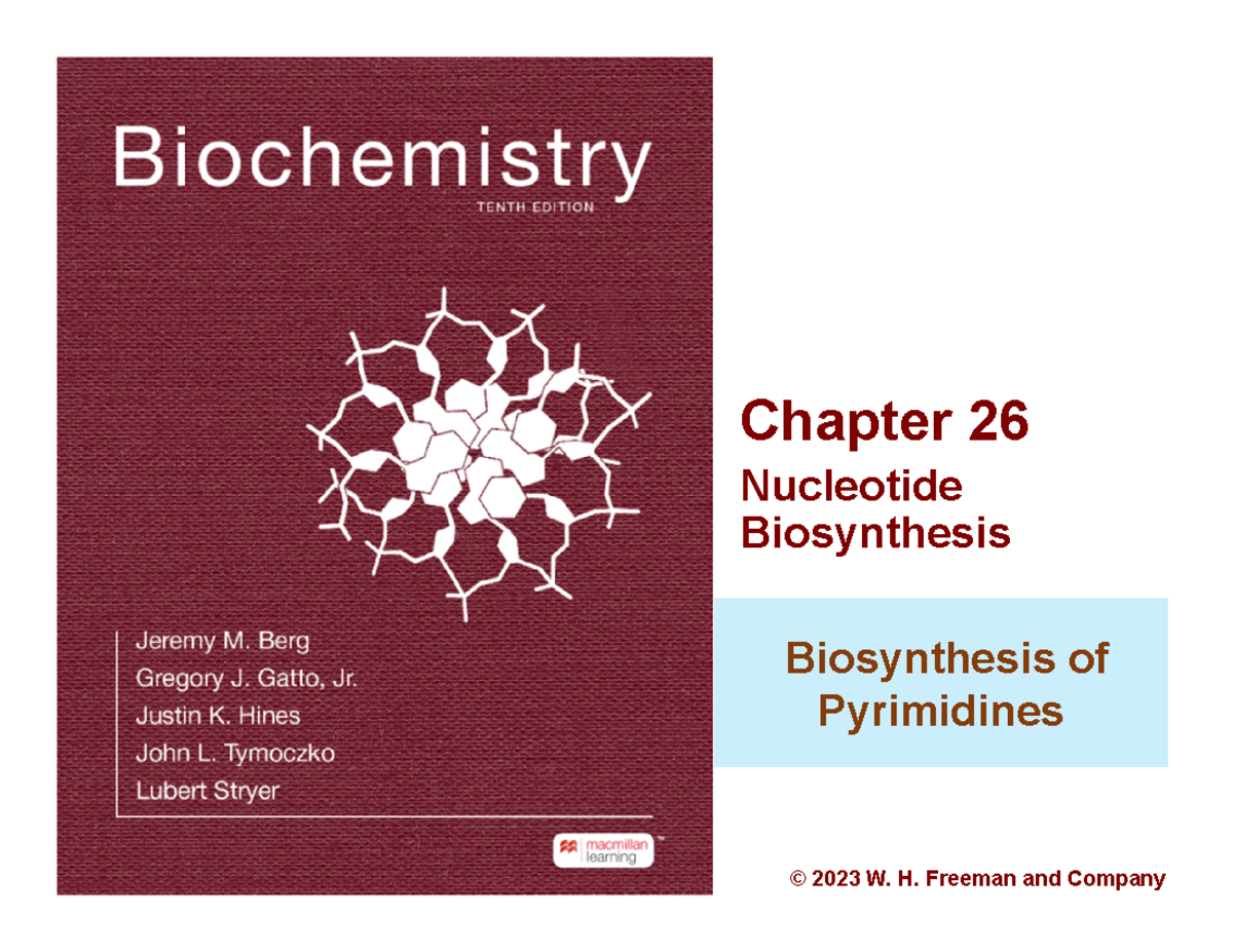 Chapter 26: Nucleotide Biosynthesis - Pyrimidines & Purines (2025 ...