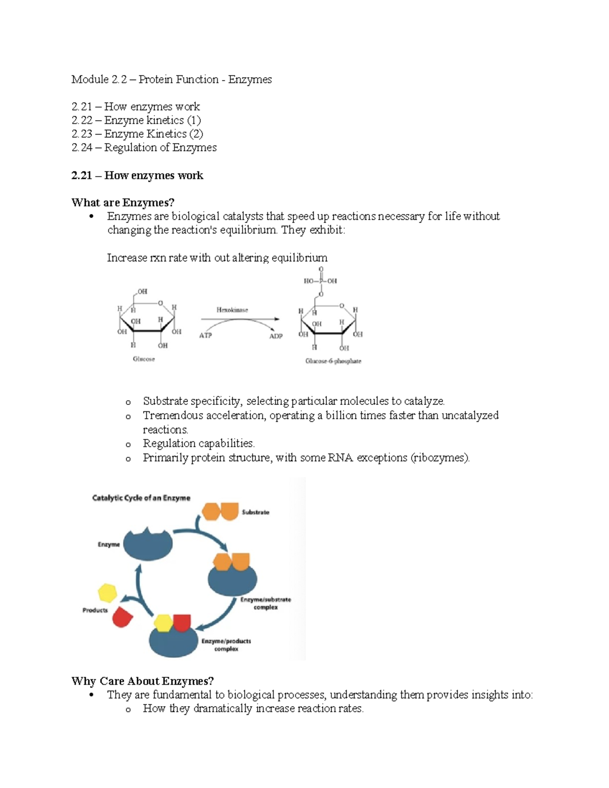 Enzyme Mechanisms and Kinetics (2.21 - 2.24): Understanding Catalysis ...