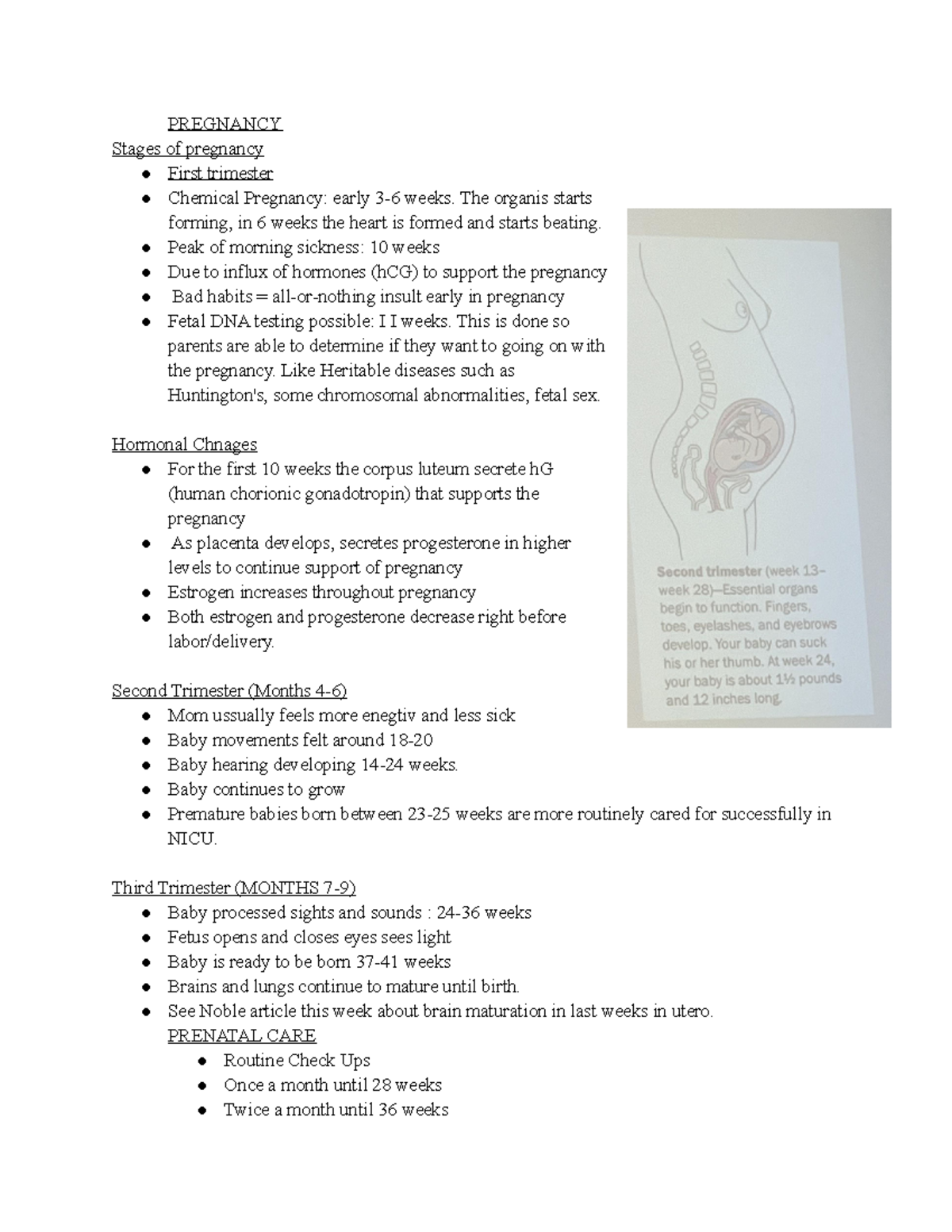 Week 2 - Lecture Notes on Pregnancy and Infant Development - Studocu