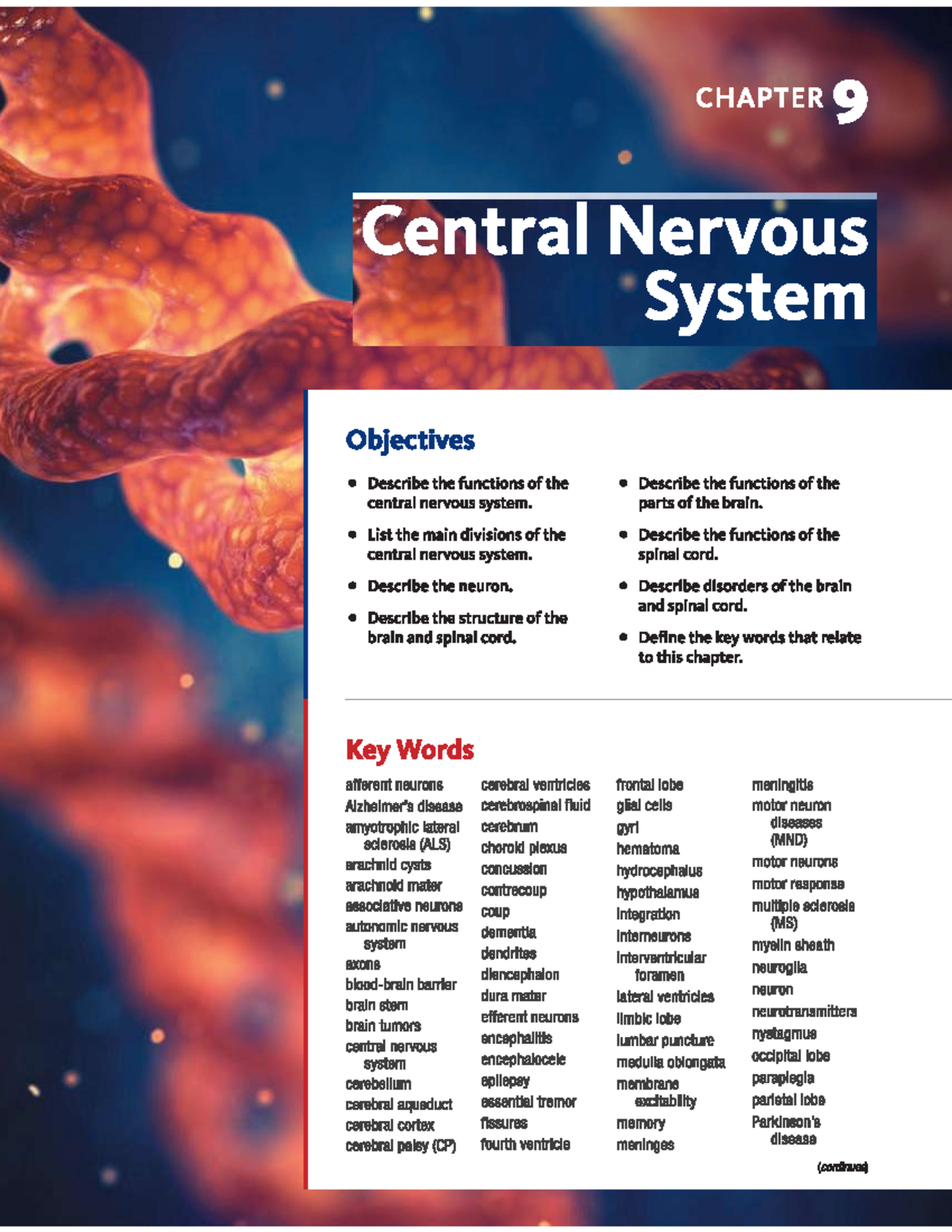 Central Nervous System Overview and Functions - Studocu