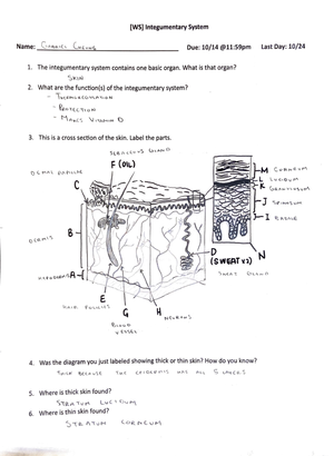 Exercise BTB lab - HAP B AND G - Name: _________________ Date ...