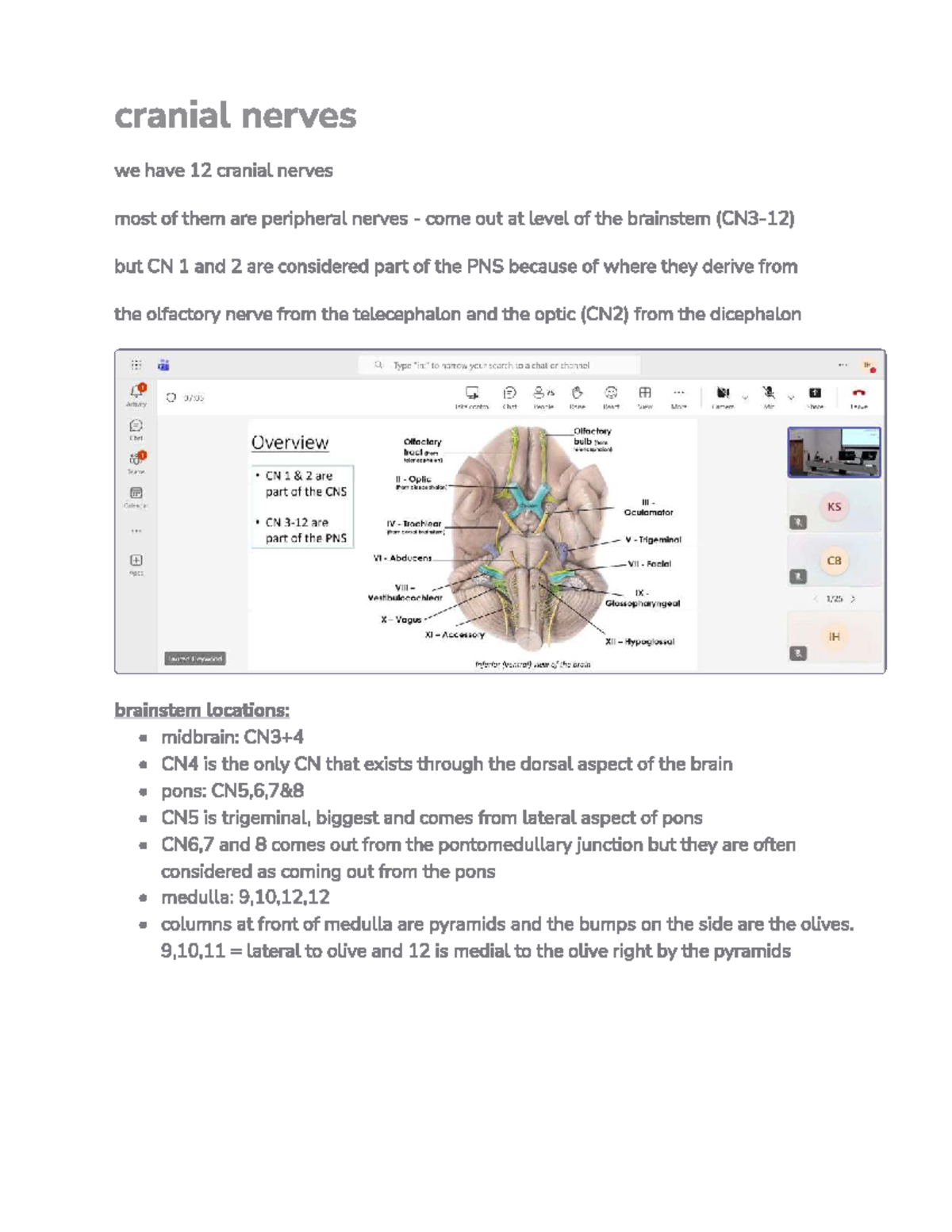 Cranial Nerve Notes (IH 75 1) - Overview and Functions - Studocu