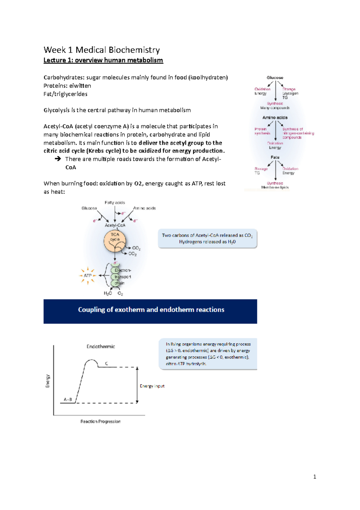 Week 1 Lecture Notes: Fundamentals of Medical Biochemistry (MBIO101 ...