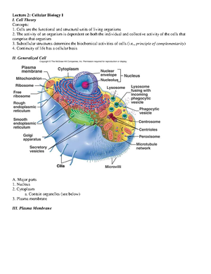 Coloplast Analysis - paper - Coloplast is a Danish multinational ...
