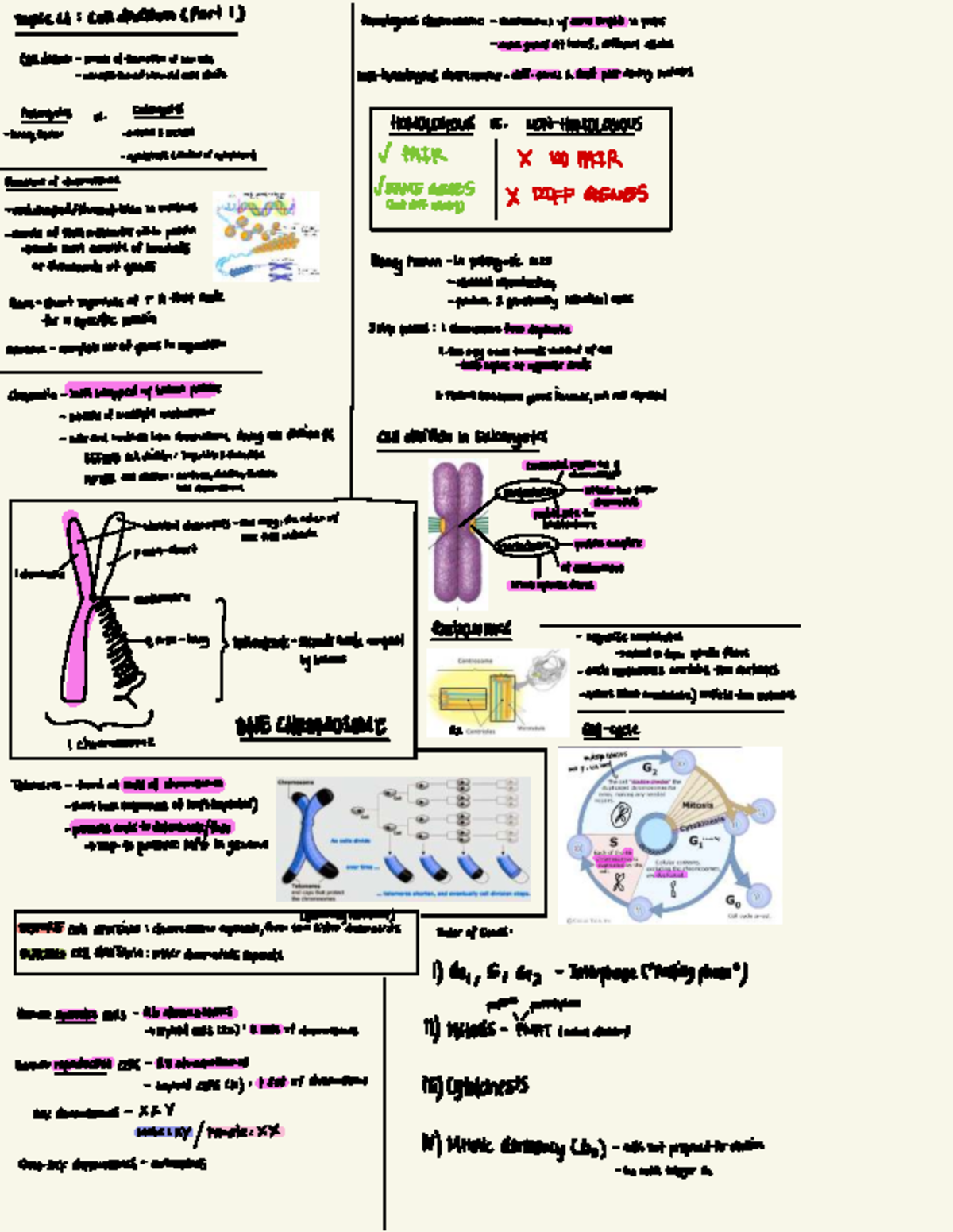 Biology Notes Sem 1: Cell Division, Mitosis, and Meiosis Overview - Studocu