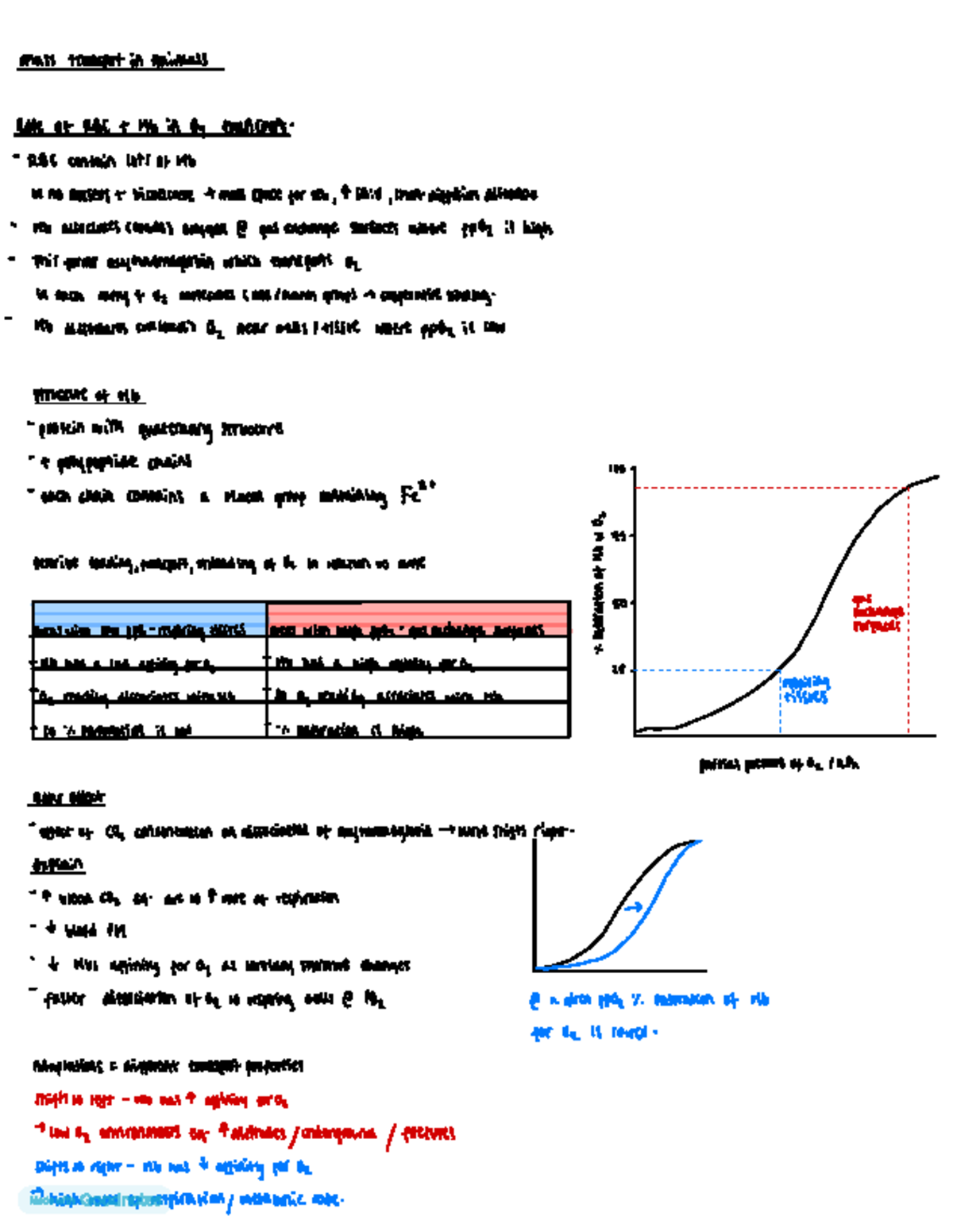 Understanding O2 Transport Mechanisms in Animals: RBC & Hb Roles - Studocu
