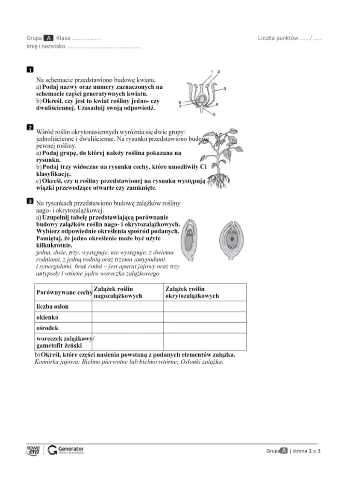 Mini Sprawdzian Z Roślin Nasiennych Kl 5 www.studocu.com