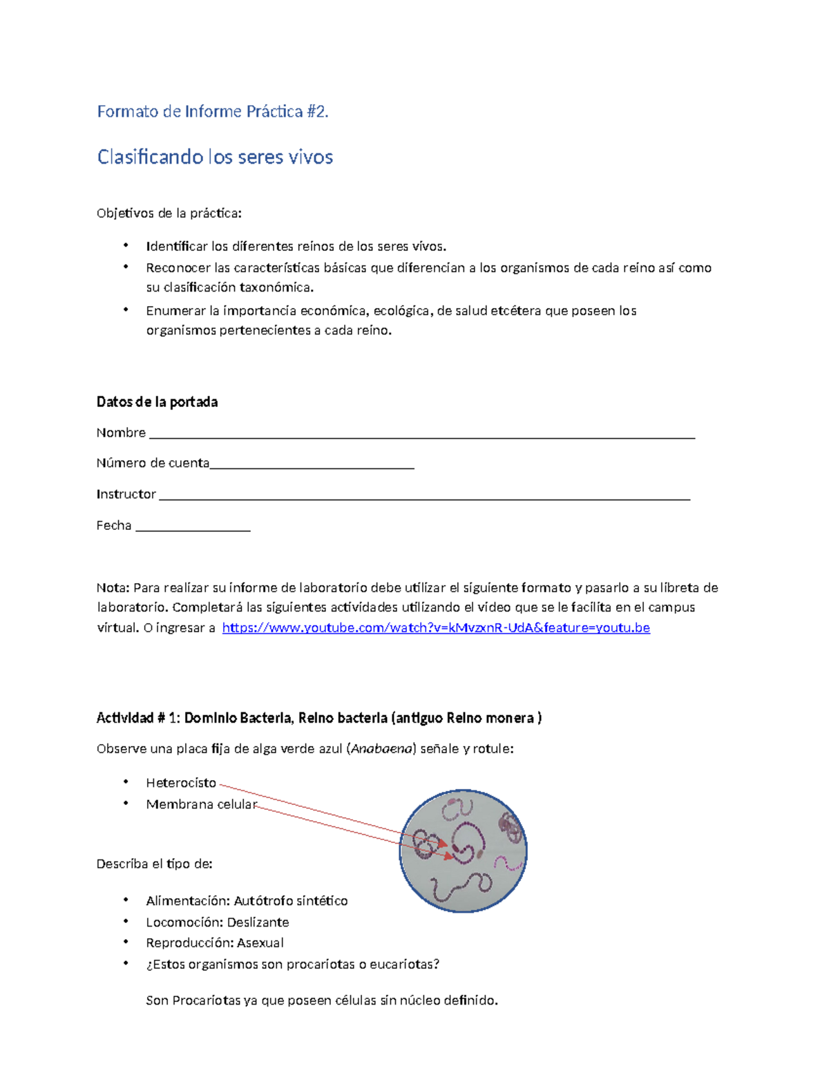 Informe Práctica #2: Clasificación de Seres Vivos - Biología - Studocu