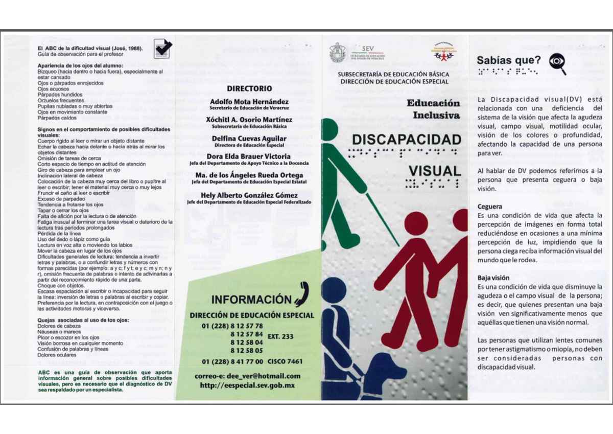 Guía de Observación sobre Discapacidad Visual - SEV 1101 - Studocu