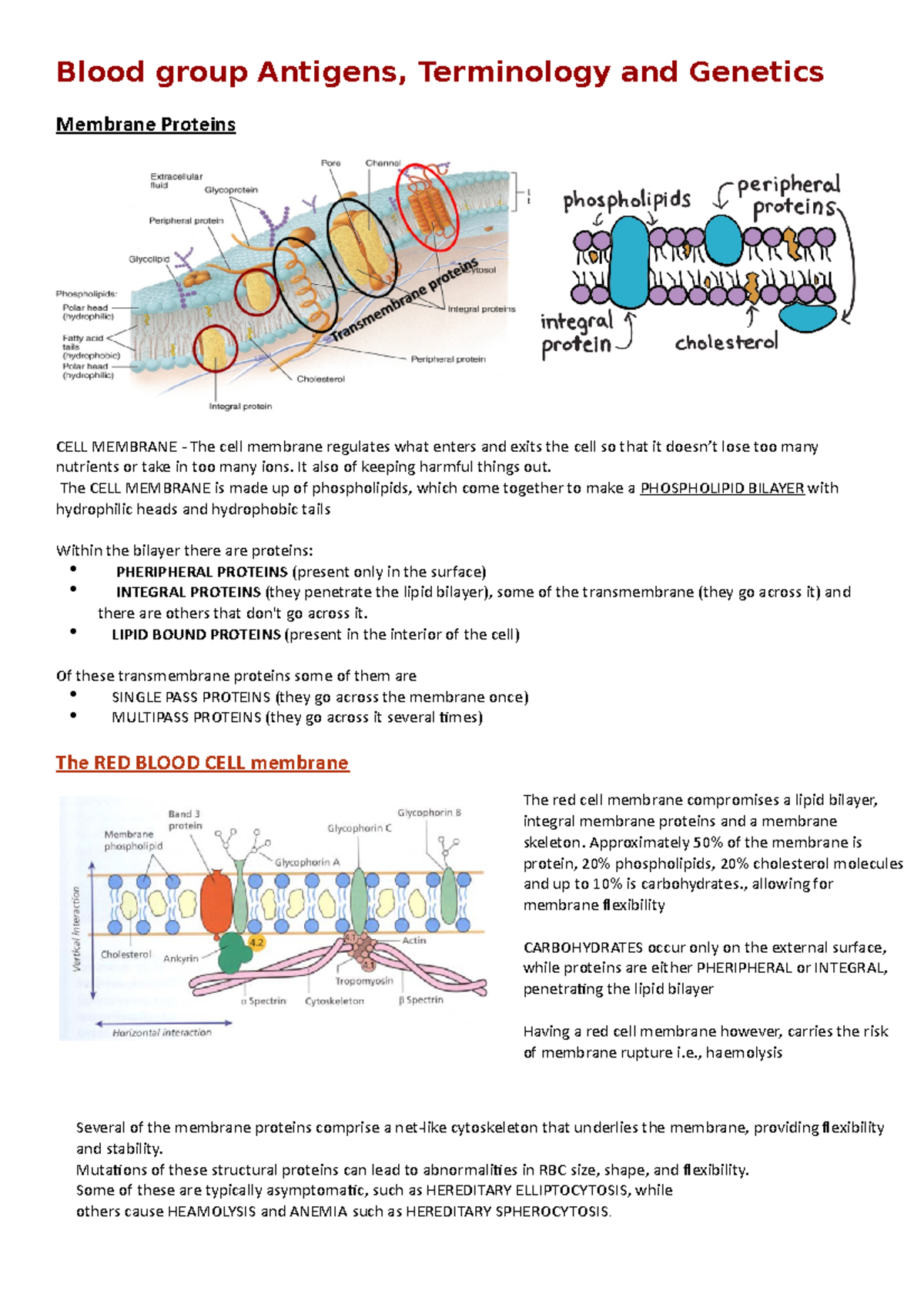 Blood group Antigens, Terminology and Genetics - It also of keeping ...