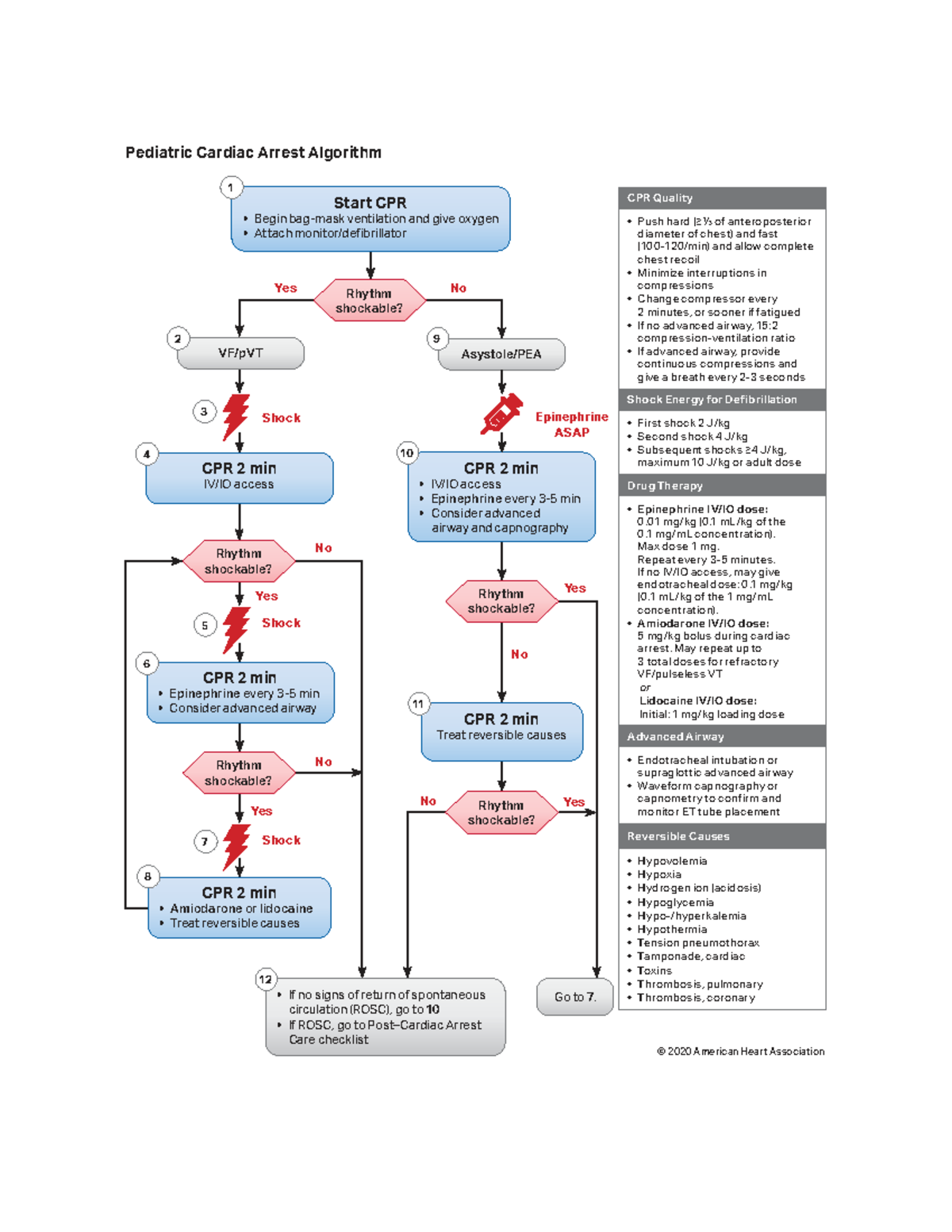 Pediatric Cardiac Arrest Algorithm: CPR & Drug Therapy Guidelines - Studocu