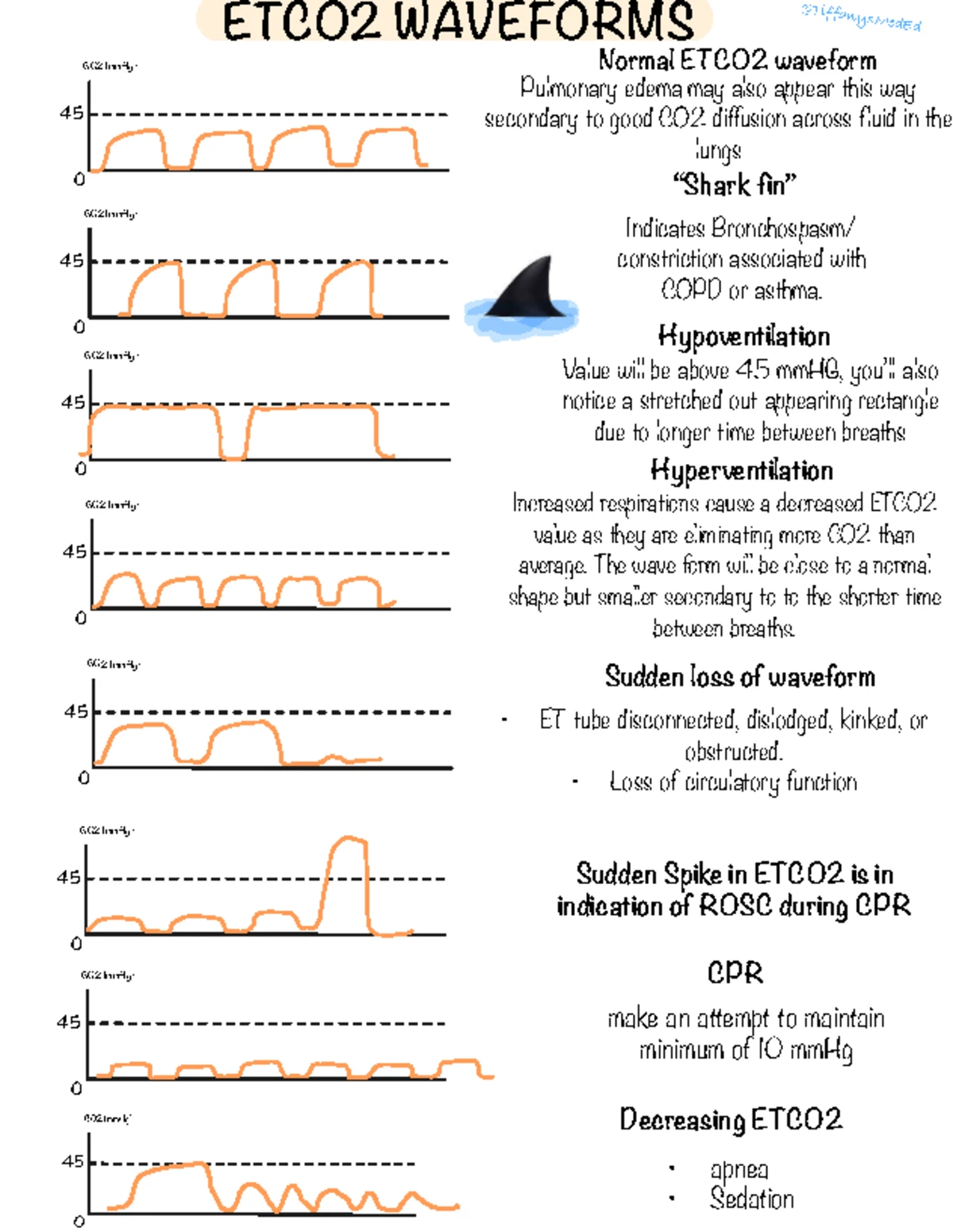Advanced Airway Management: Anatomy & Physiology Overview - Studocu