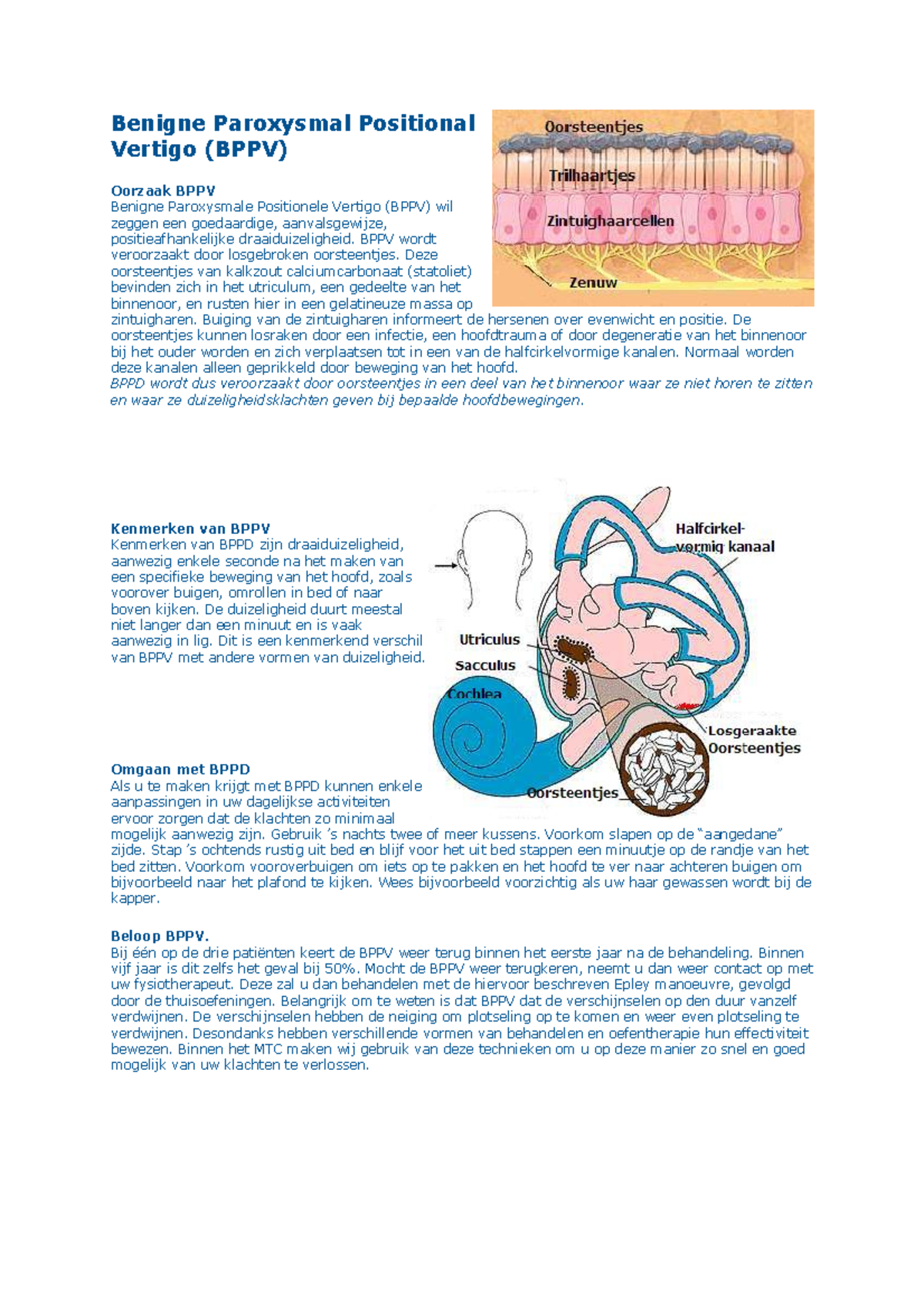 BPPV: Causes, Symptoms, Treatment & Exercises for Recovery - Studeersnel