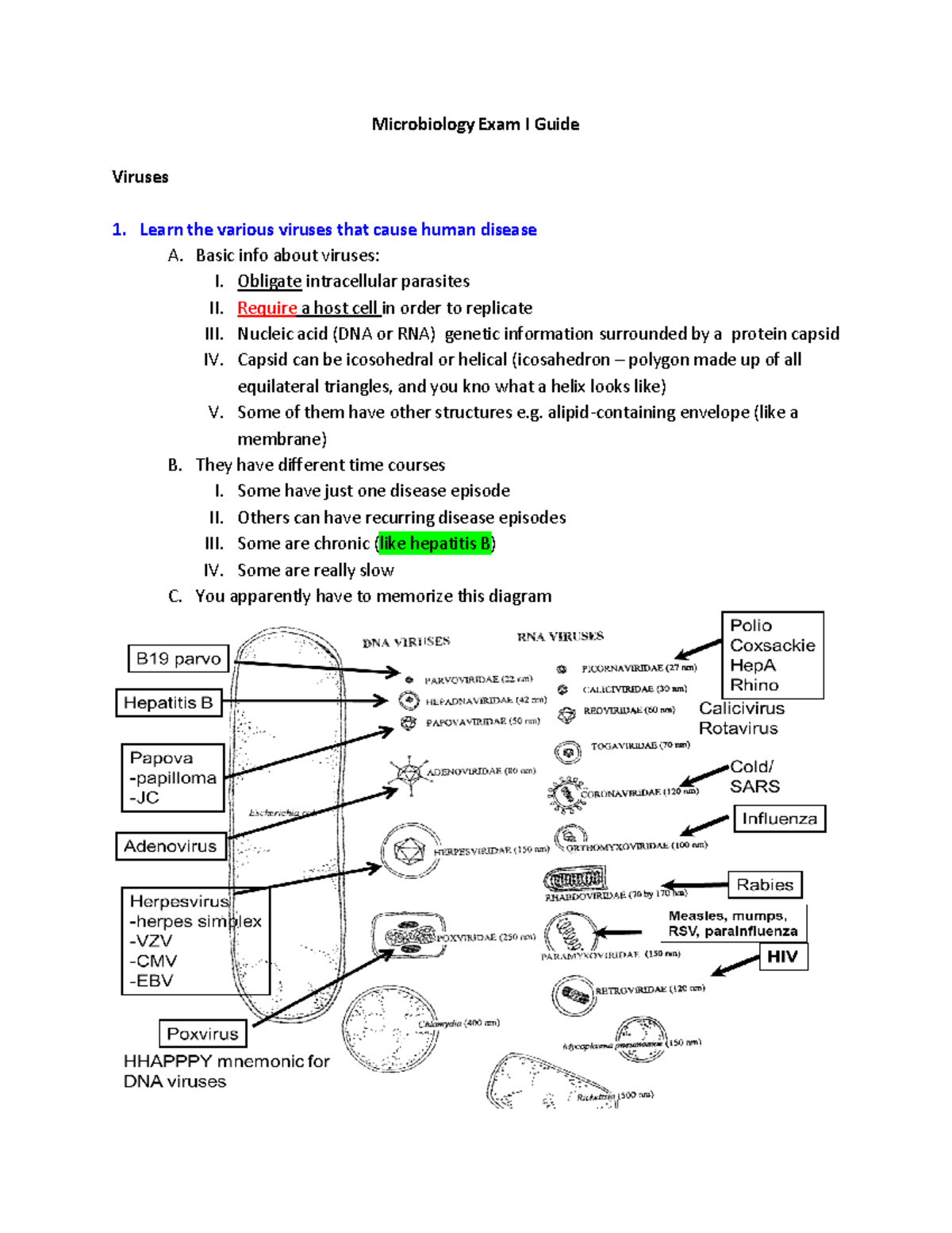 Microbiology Exam I Study Notes: Viruses & Treatments - Studocu