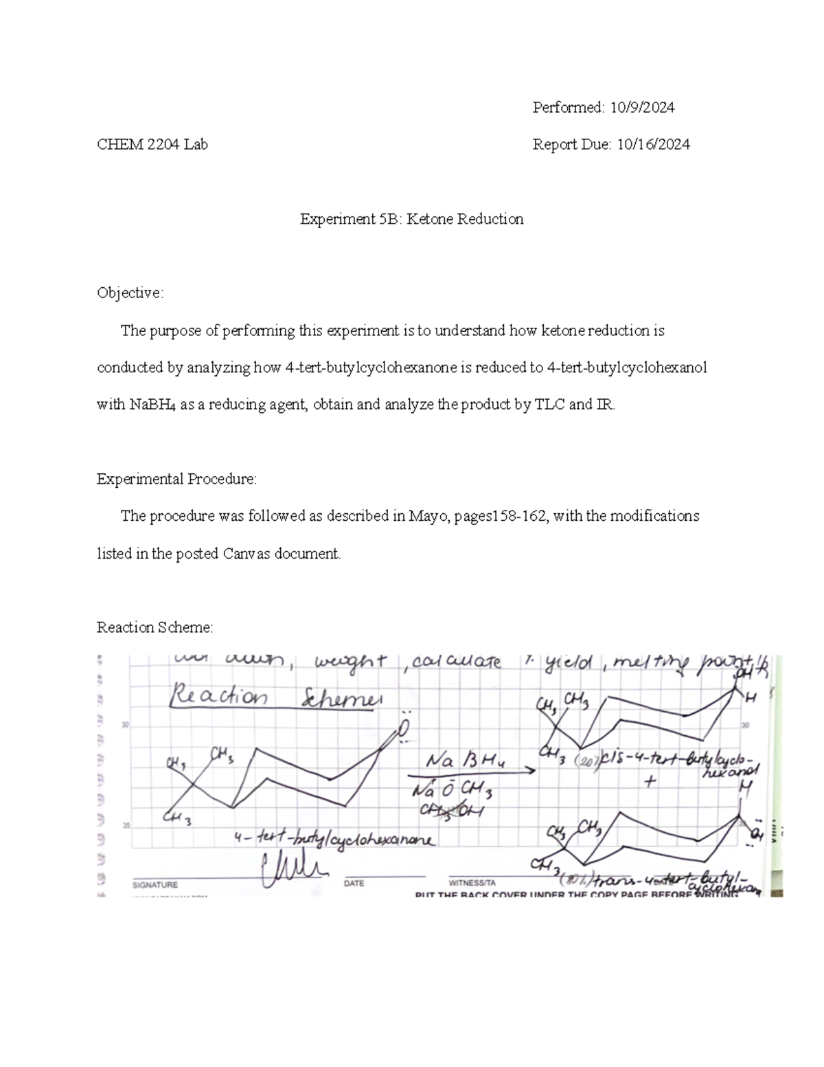 Lab Report 6: Ketone Reduction in Orgo II (CHEM 2204) - Studocu