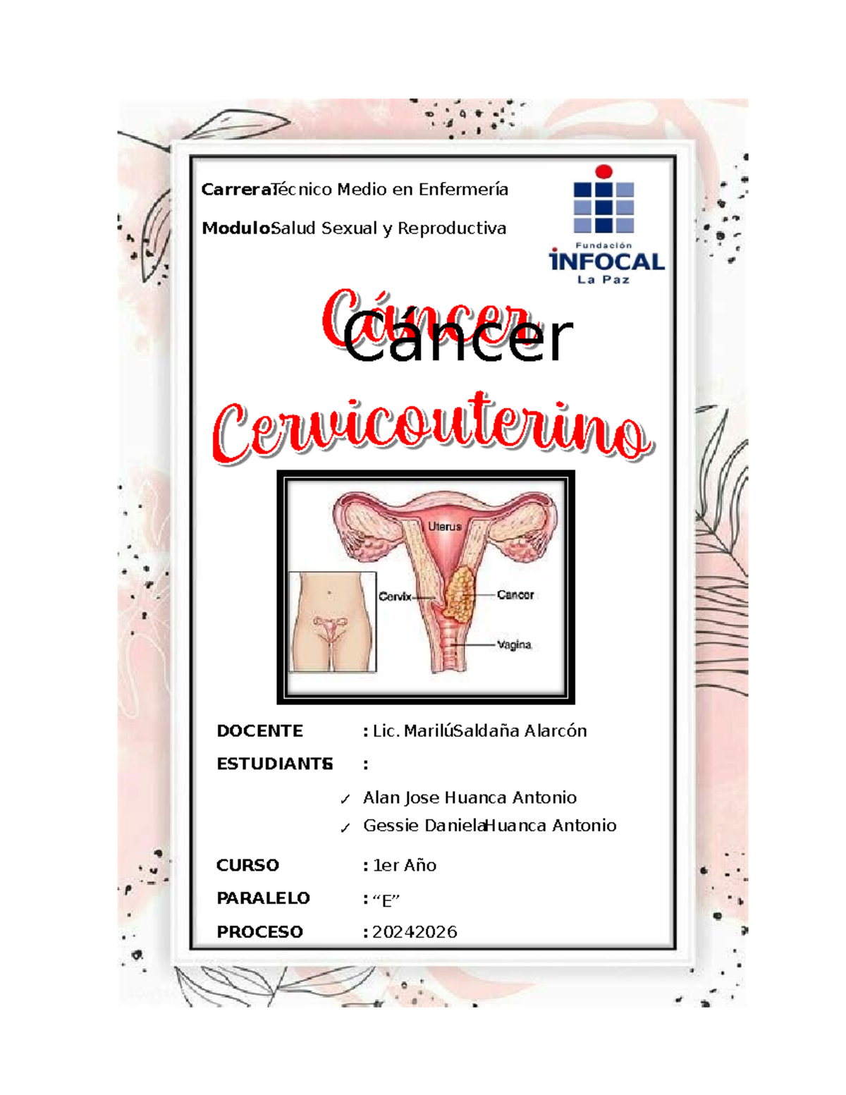 Cáncer Cervicouterino: Salud Sexual y Reproductiva - Módulo 1er Año - Document Preview