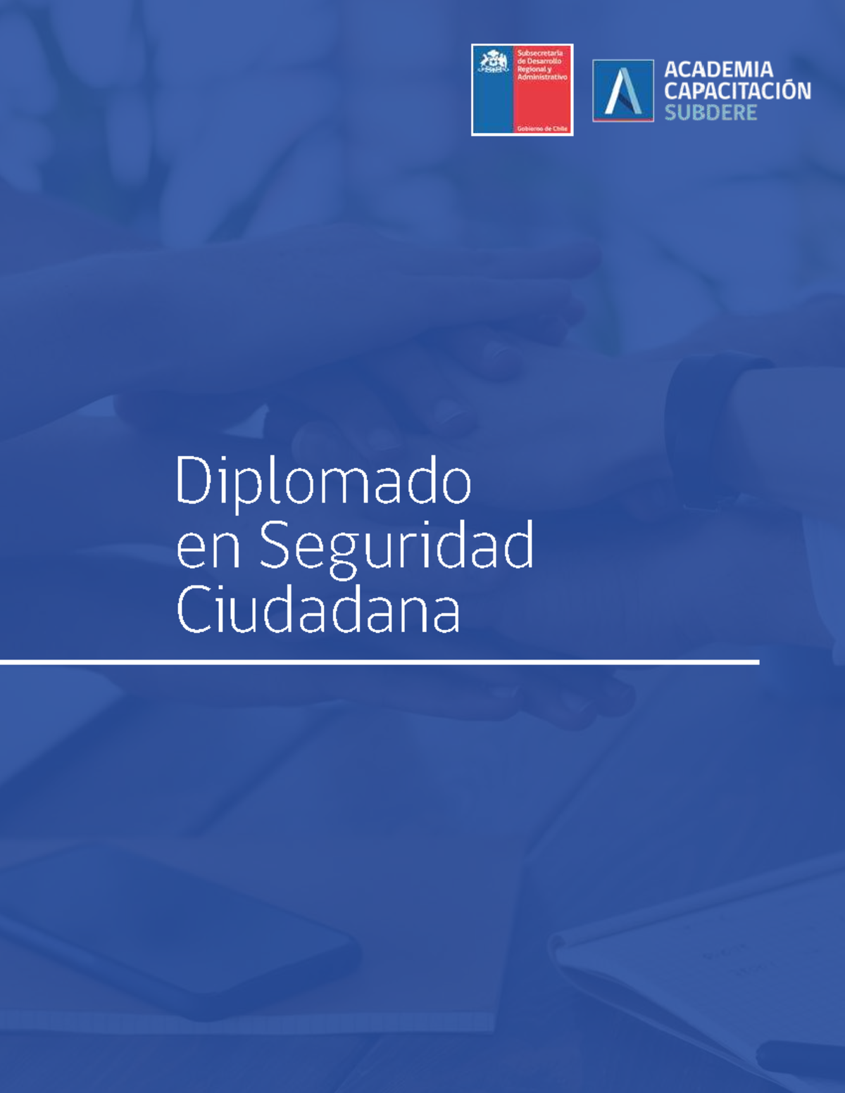 Diplomado en Seguridad Ciudadana - Apuntes y Módulos de Estudio - Studocu