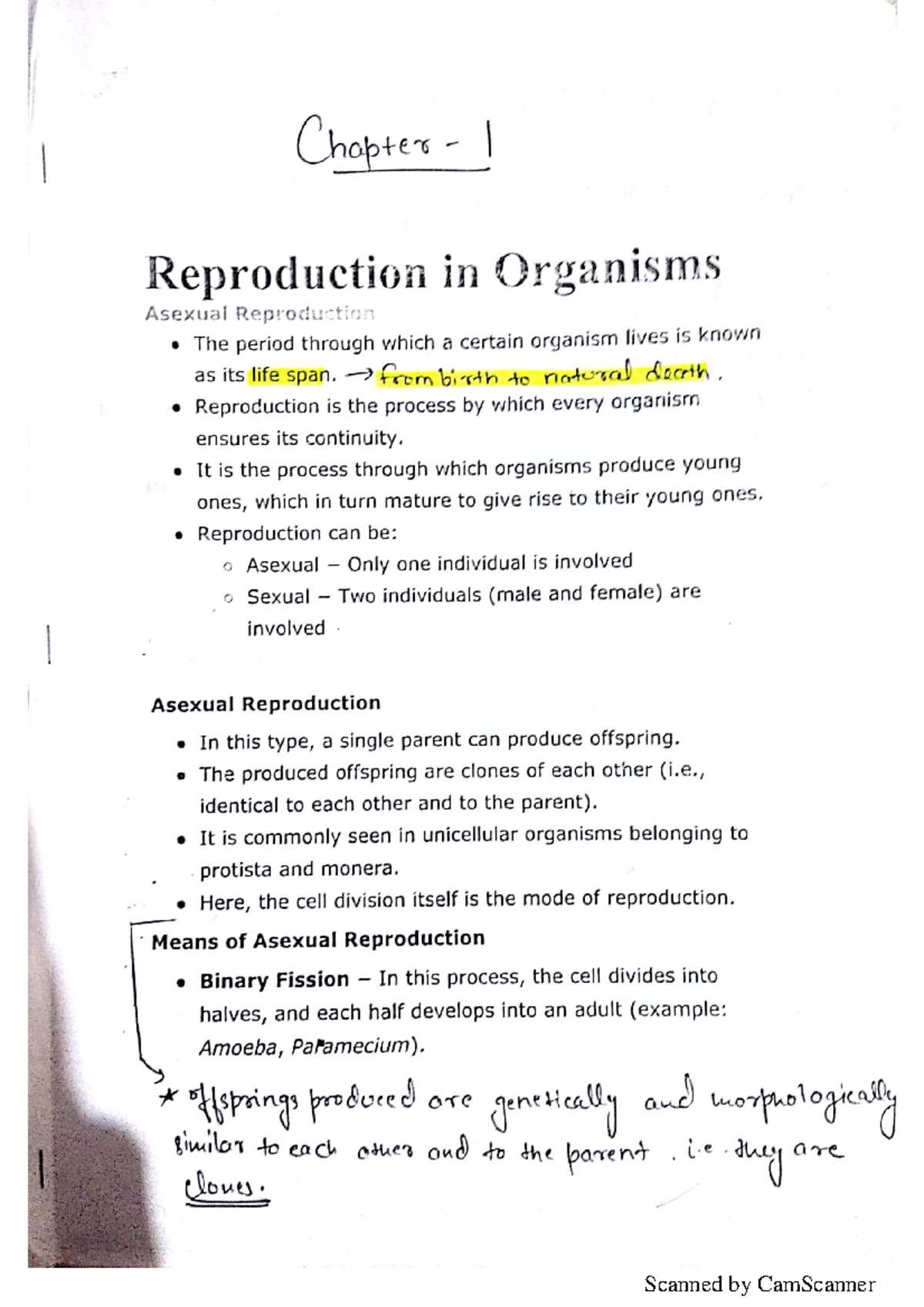 Biology 101: Chapter 1 Overview and Key Concepts - Studocu