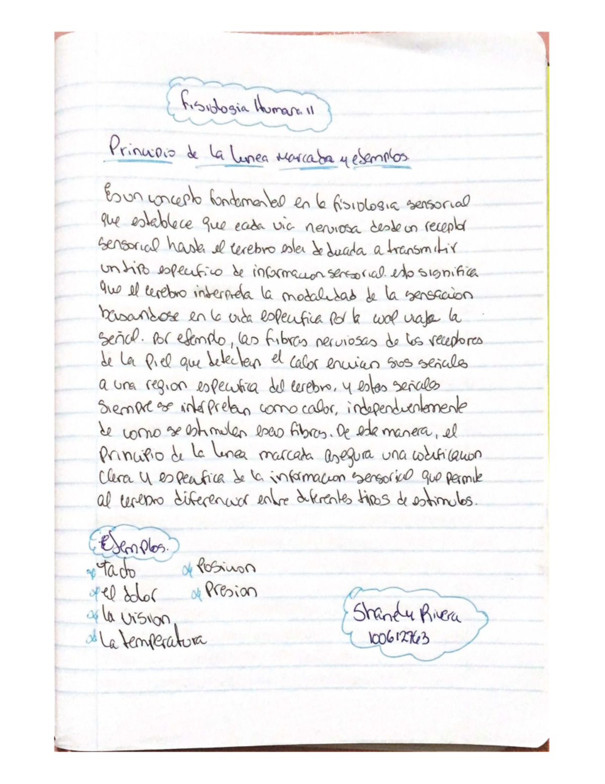 Principio de la Línea Marcada en Fisiología Humana 11: Ejemplos Clave ...