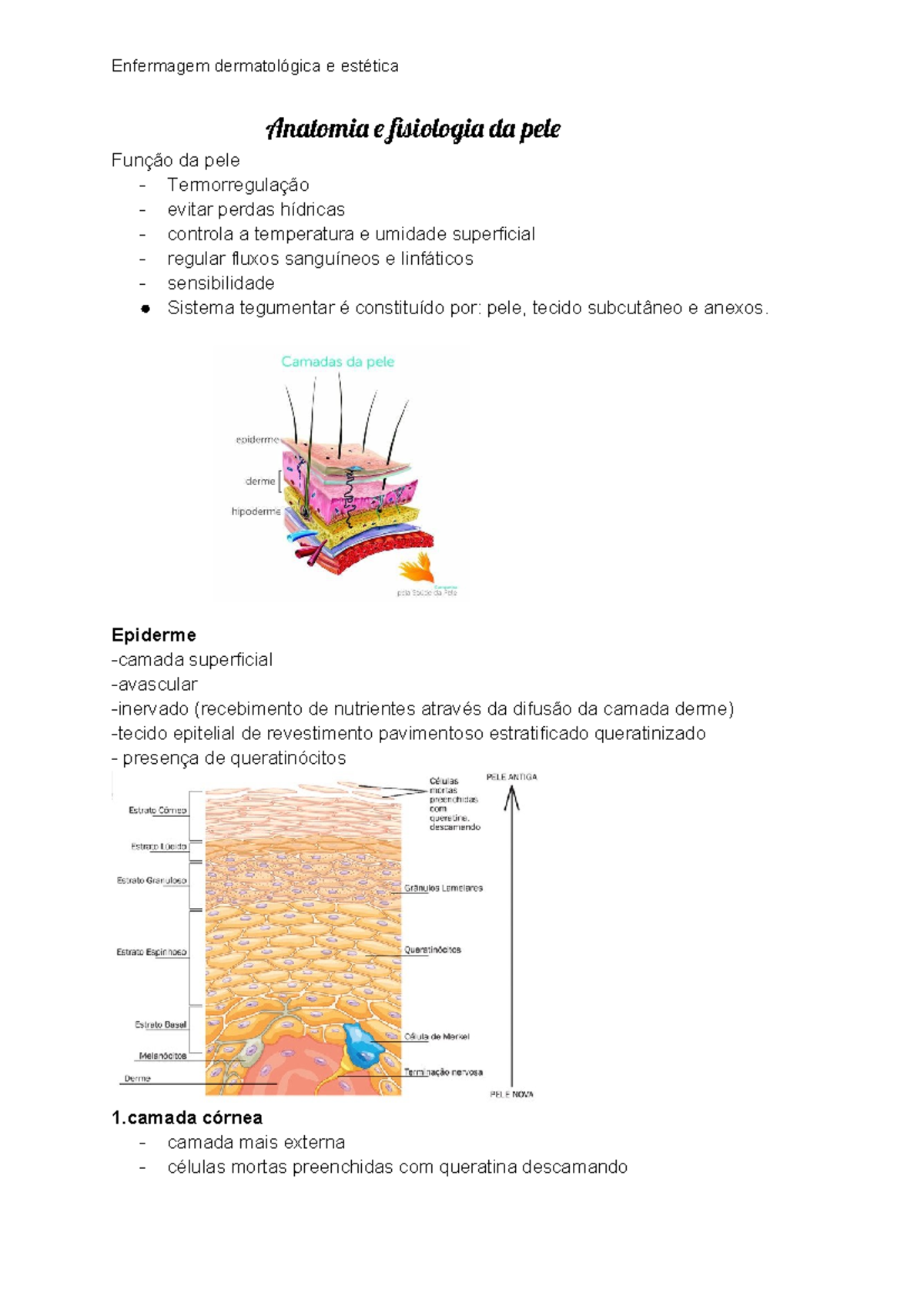 enfermagem-dermatologica-anatomia-e-fisiologia-da-pele-enfermagem