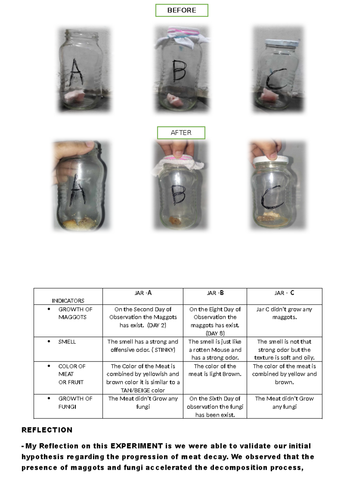 GEN BIO - notes - REFLECTION - My Reflection on this EXPERIMENT is we ...