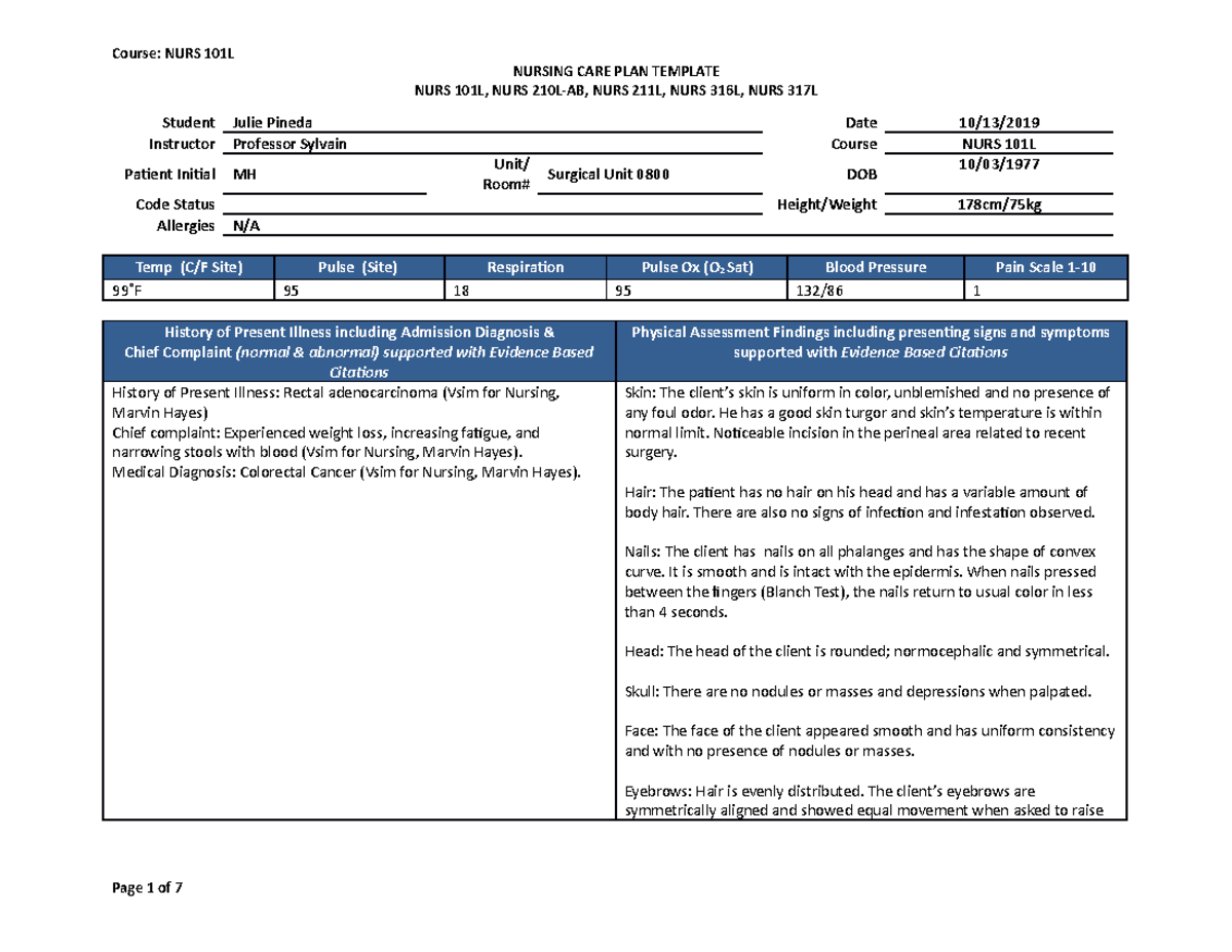 NURS 101L Marvin Hayes Nursing Care Plan - NURSING CARE PLAN TEMPLATE ...