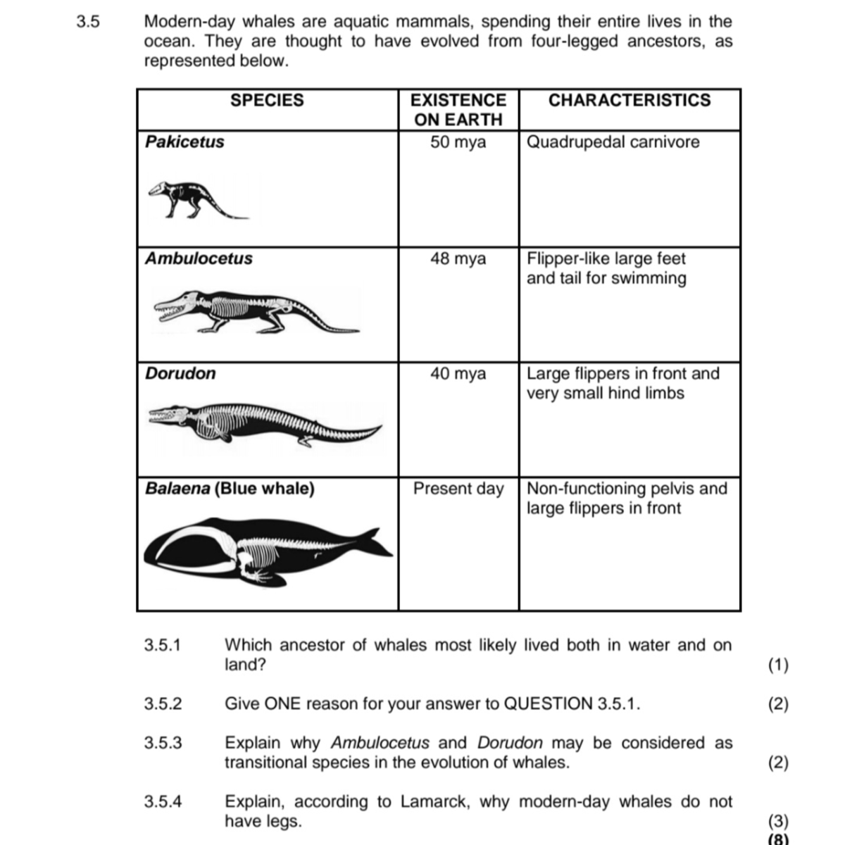 Human Evolution Study Notes (BIO 101) - Studocu