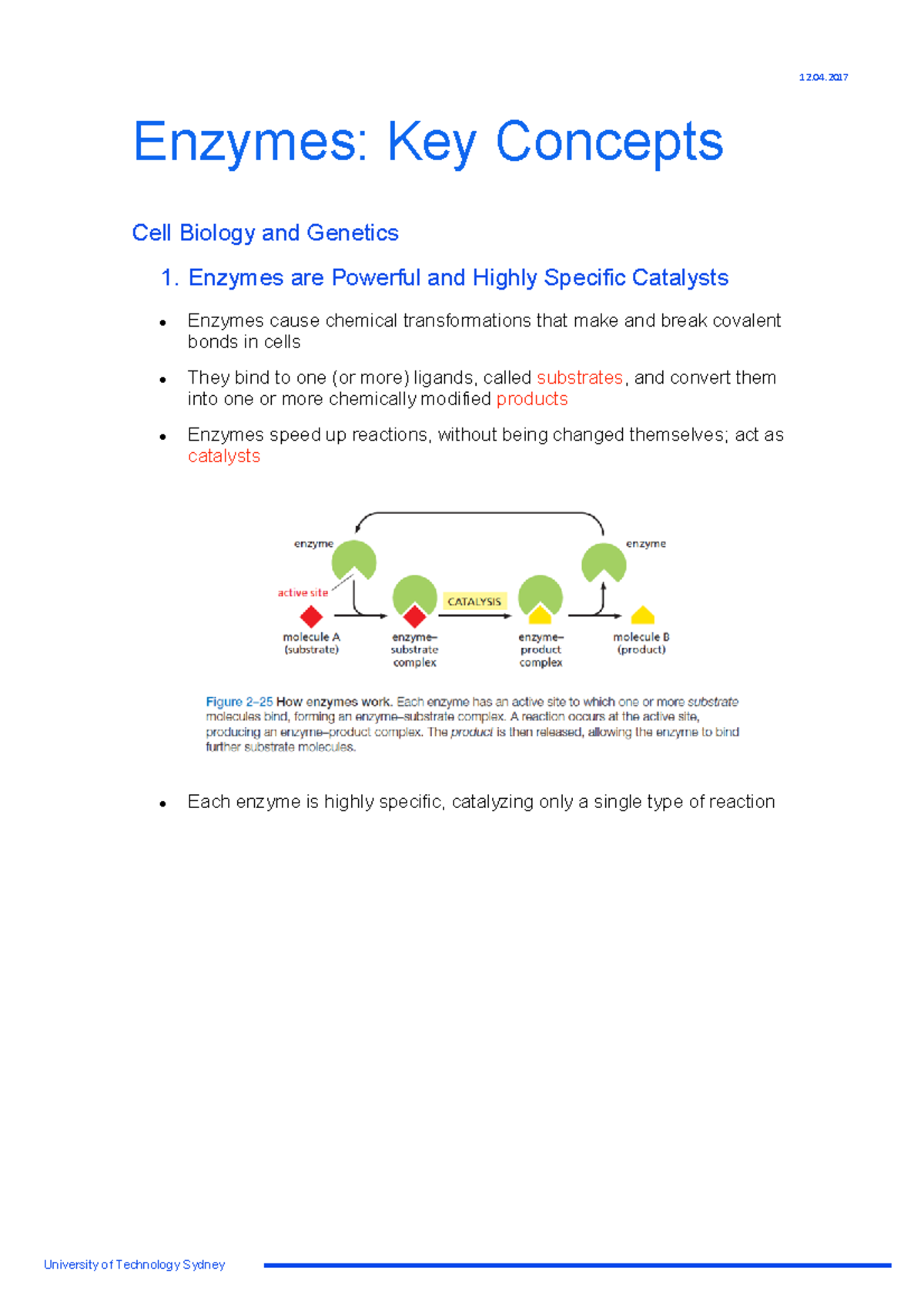 Enzymes Key Concepts - Cell Biology & Genetics (Course Code: UTS) - Studocu