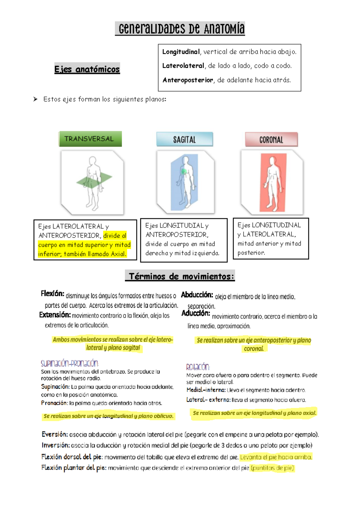 Notas de Anatomía General - Final Exam (ANAT 101) - Studocu