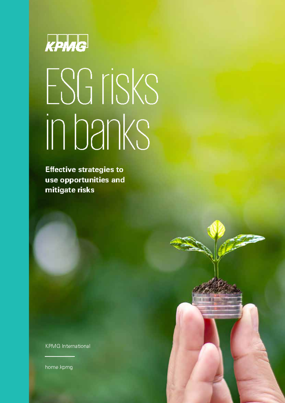 KPMG ESG Risks in Banks: Strategies for Opportunity and Mitigation ...