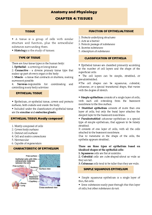 Chapter 3 Anaphy Reviewer - Organelles: • specialized structures in ...