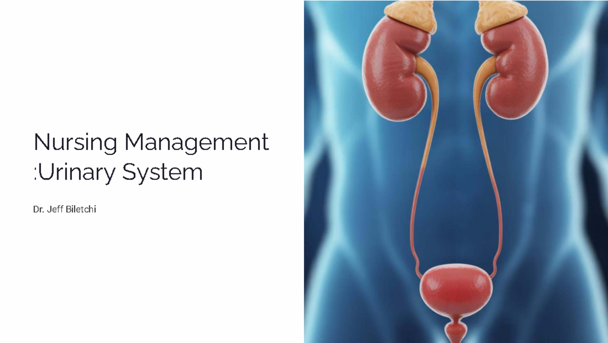 Nursing Management: Urinary System Overview (1495 - Week 6) - Studocu