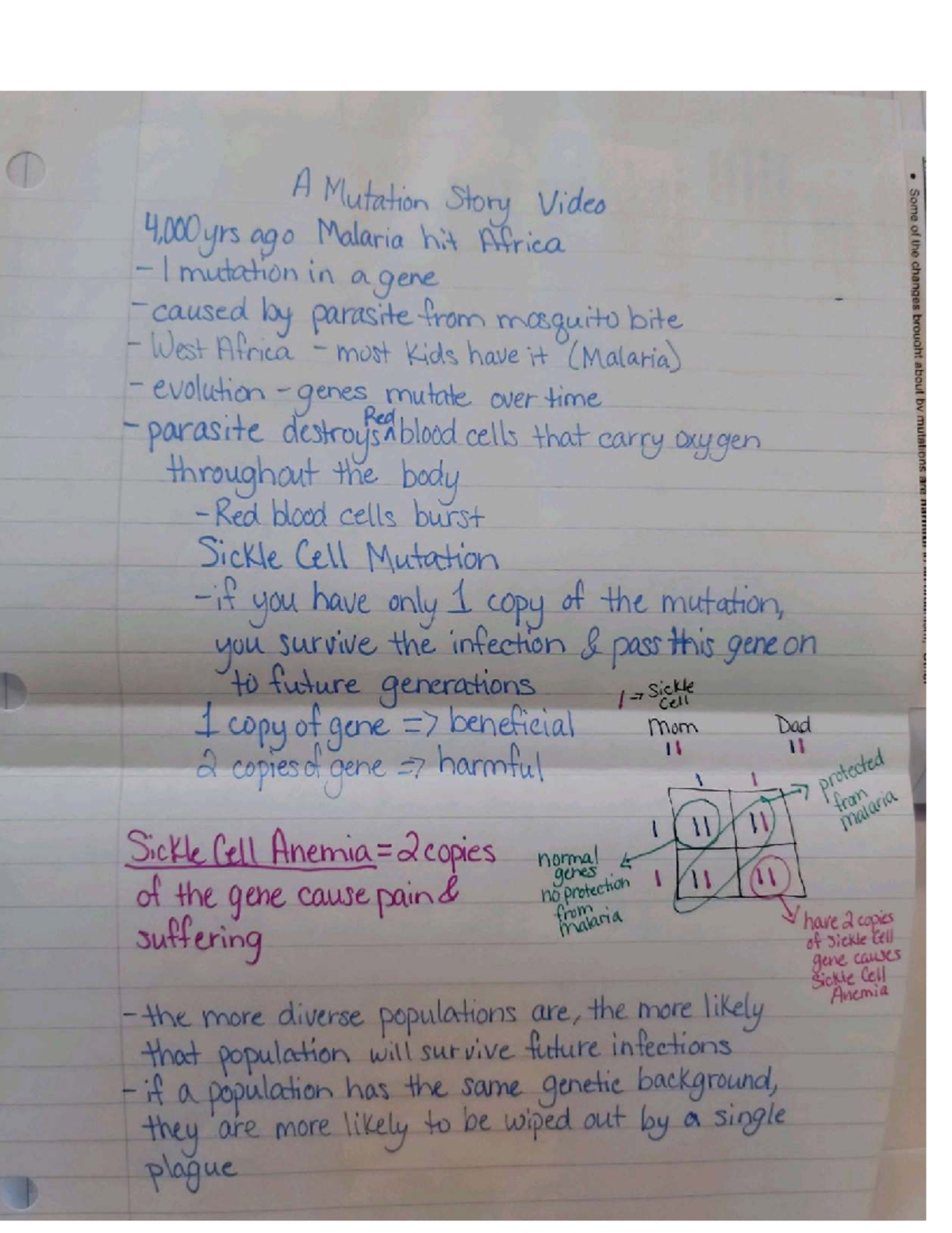 A Mutation Story: Malaria and Sickle Cell Genetics Notes - Studocu