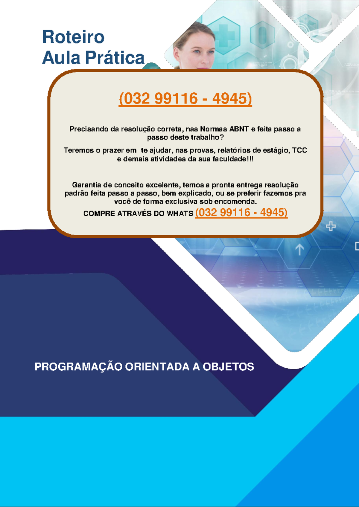 Roteiro de Aula Prática – Programação Orientada a Objetos (032 99116 ...