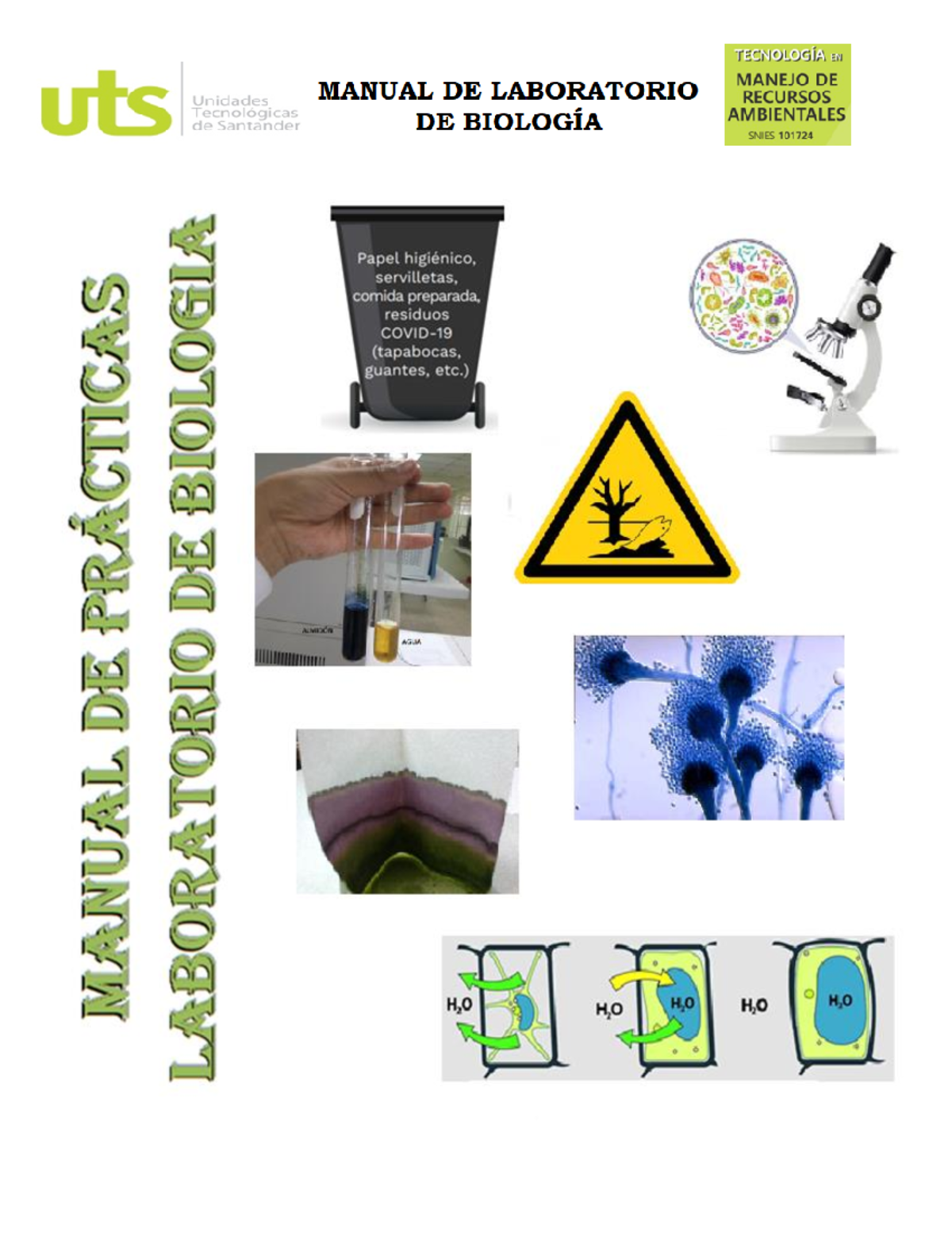 Guía de Estudio ACT 7: Reino Monera, Protista y Fungi - Grado 901 - Studocu